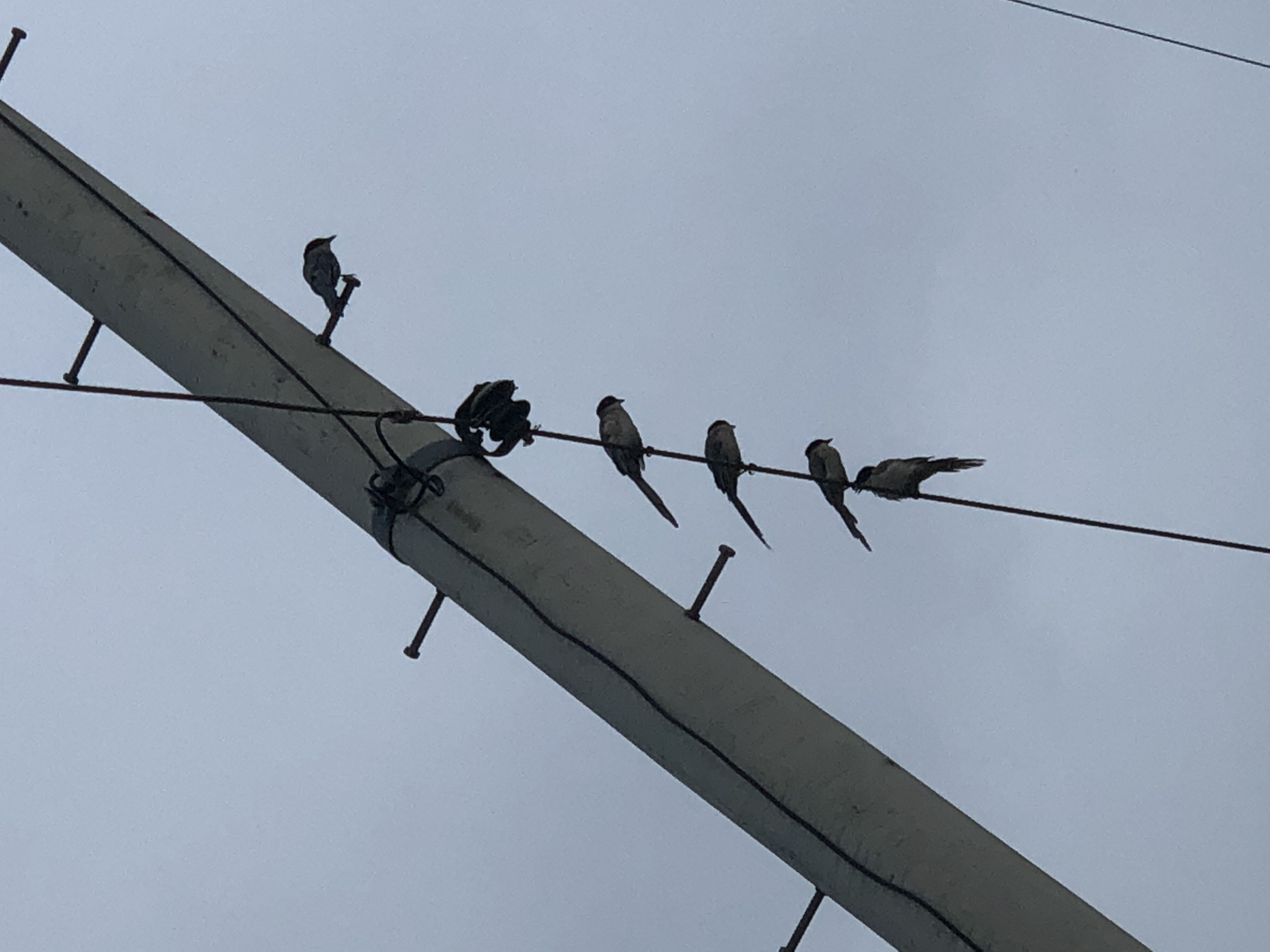 08658205-3F0B-444E-B79D-5DC661D44439.jpeg