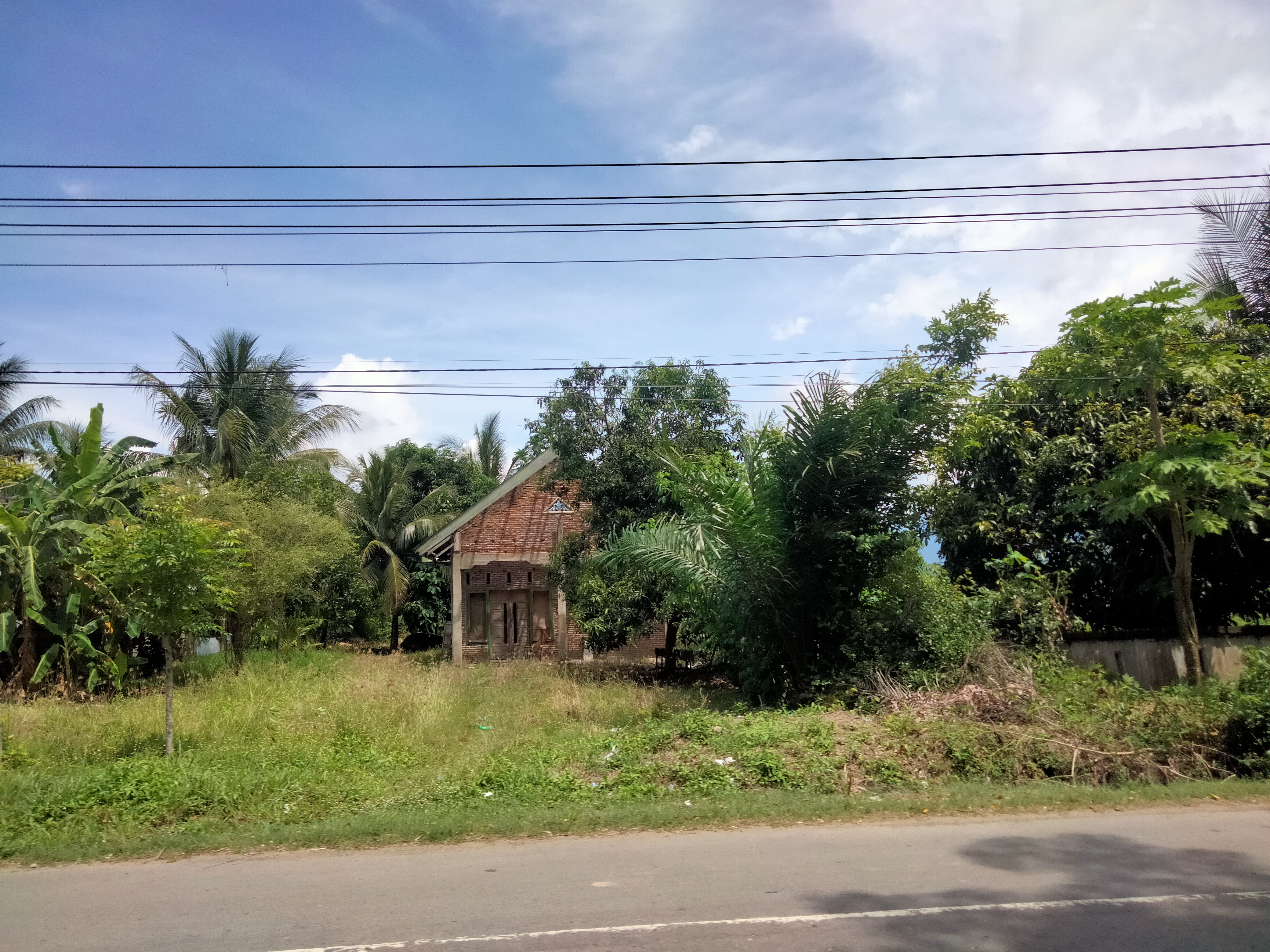 IMG20260513133255.jpg