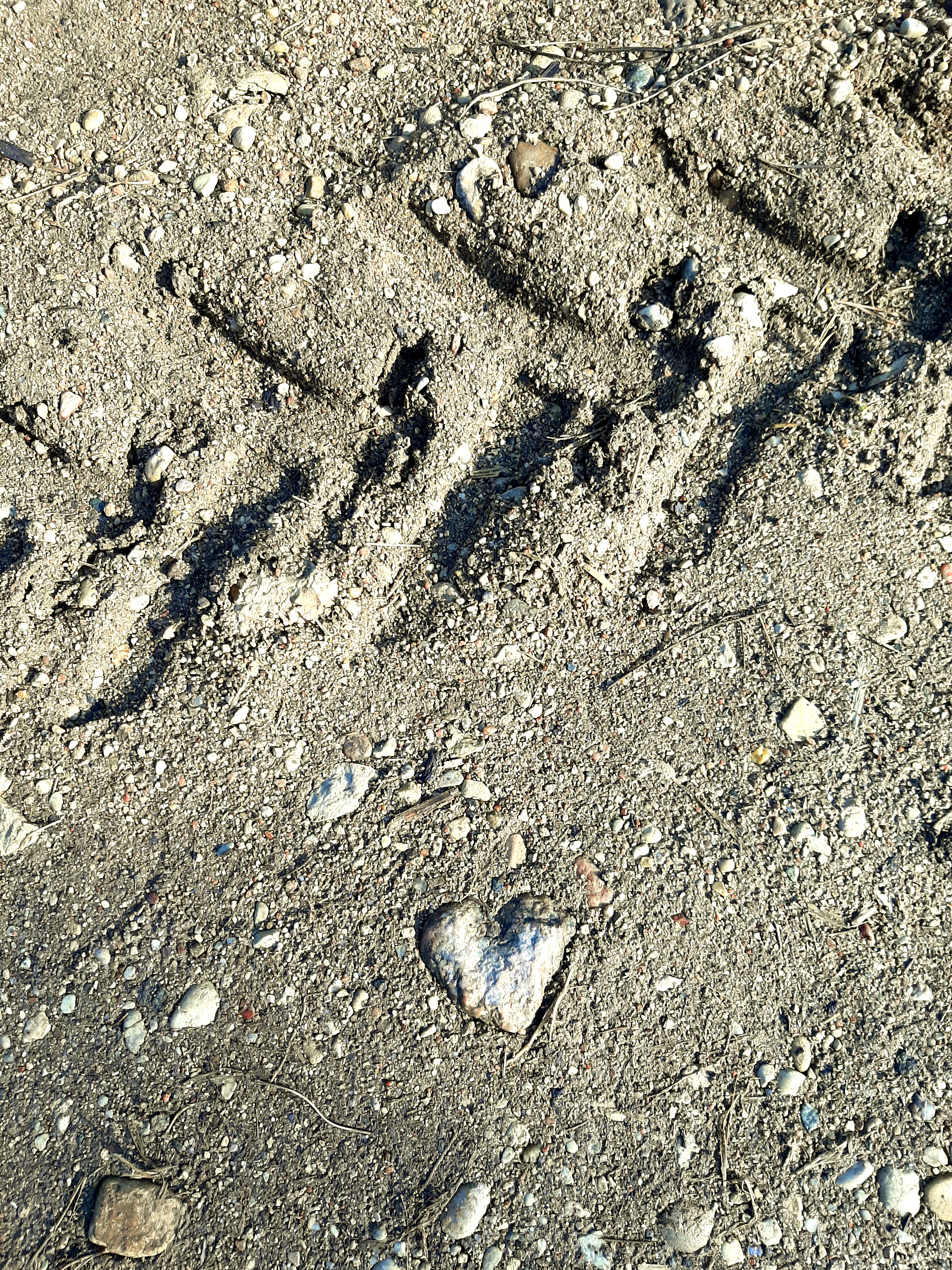 20260317_111629.jpg