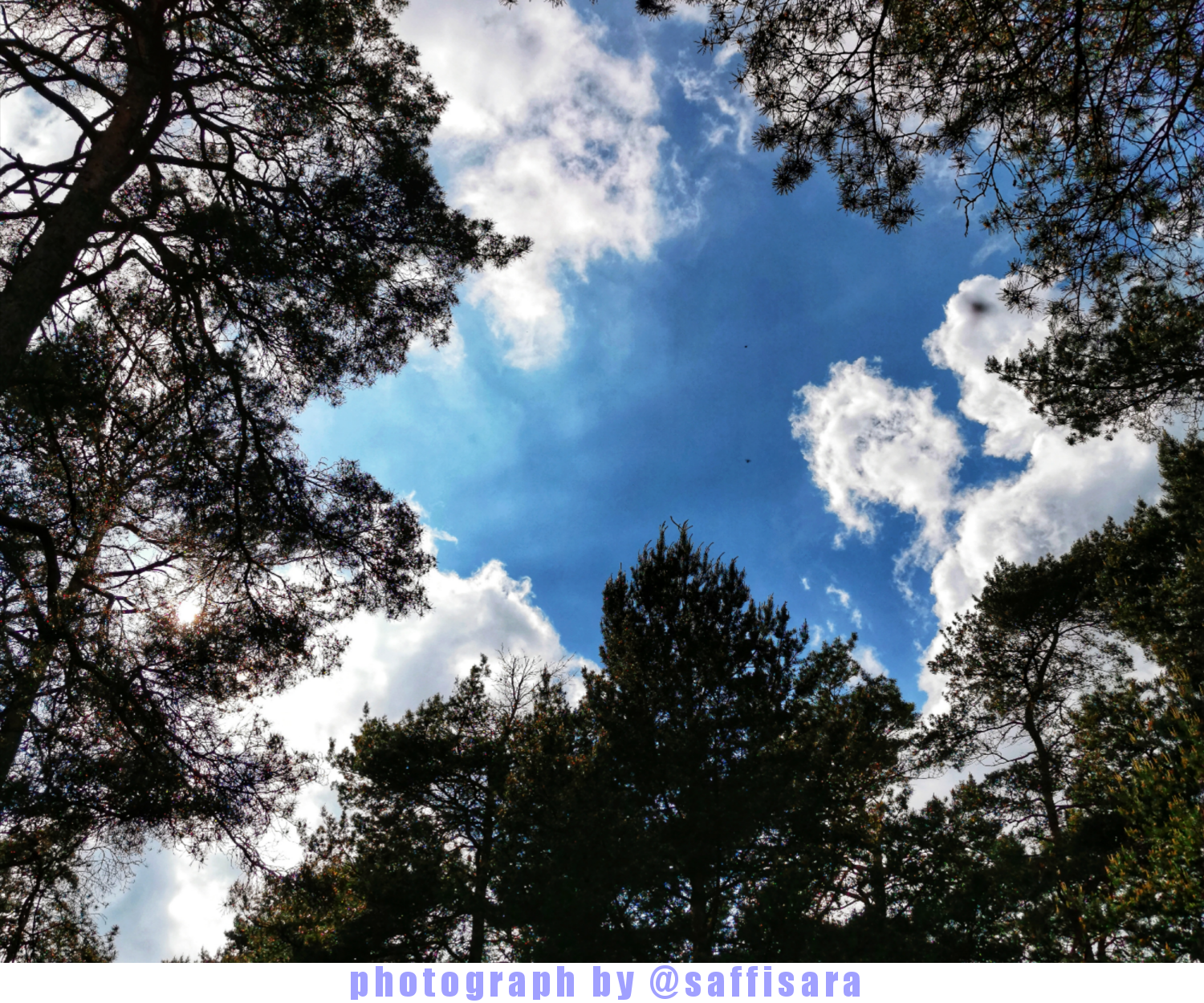 PhotoBySaffisara.png