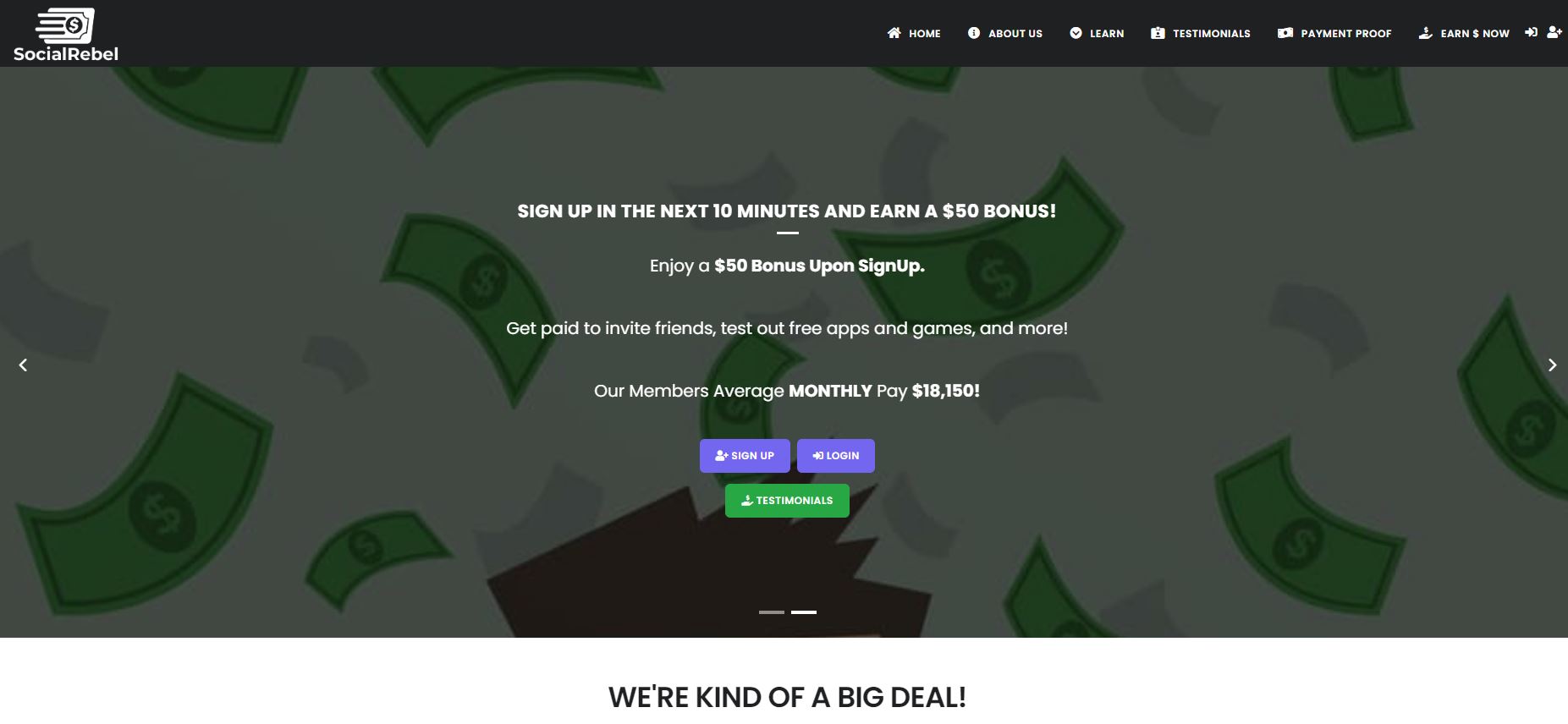 social rebel.JPG
