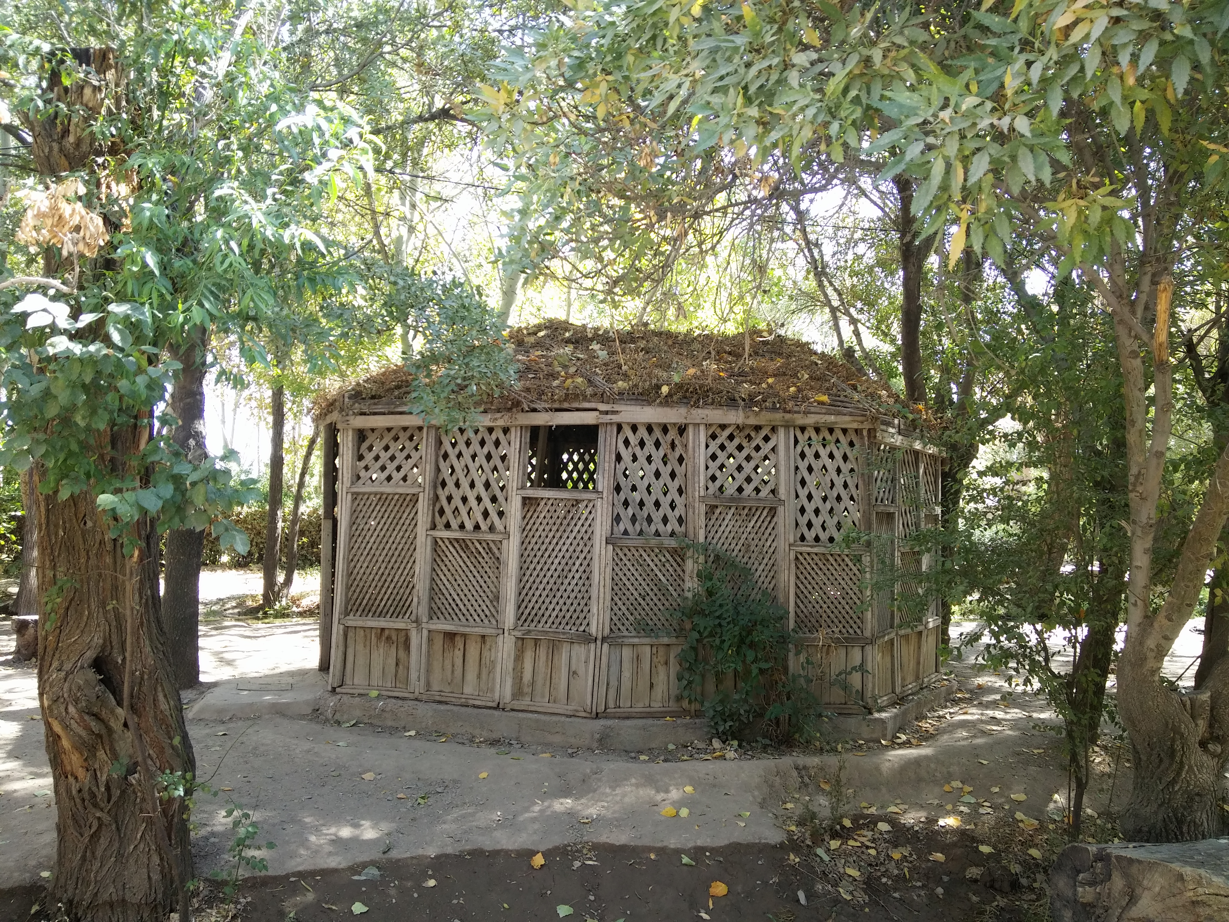20150927_123433.jpg