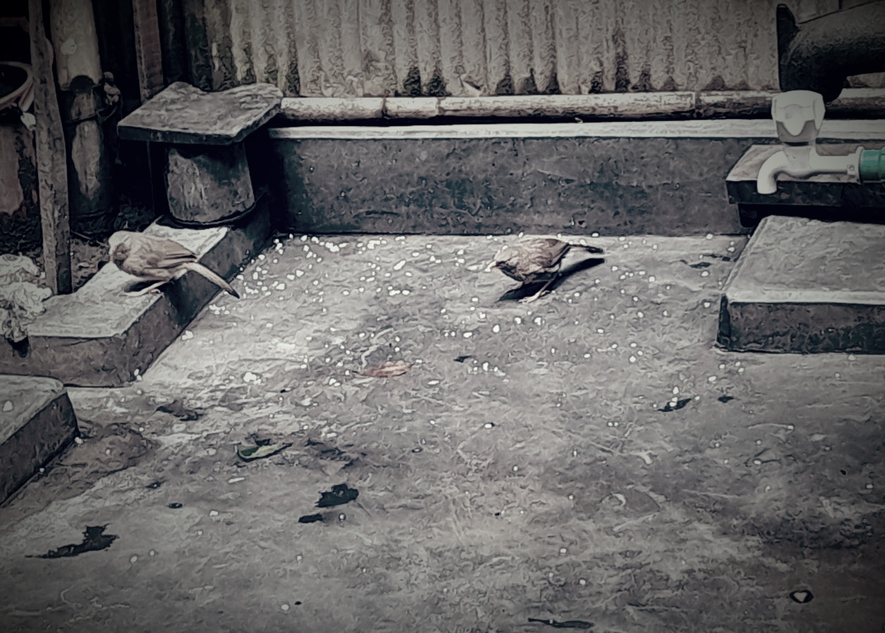 20250627_141927.jpg