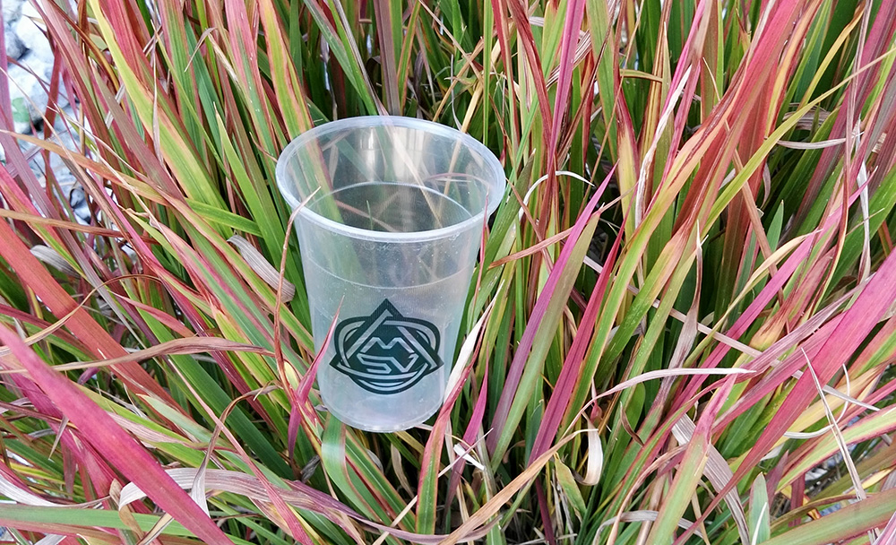 plastikbecher.jpg