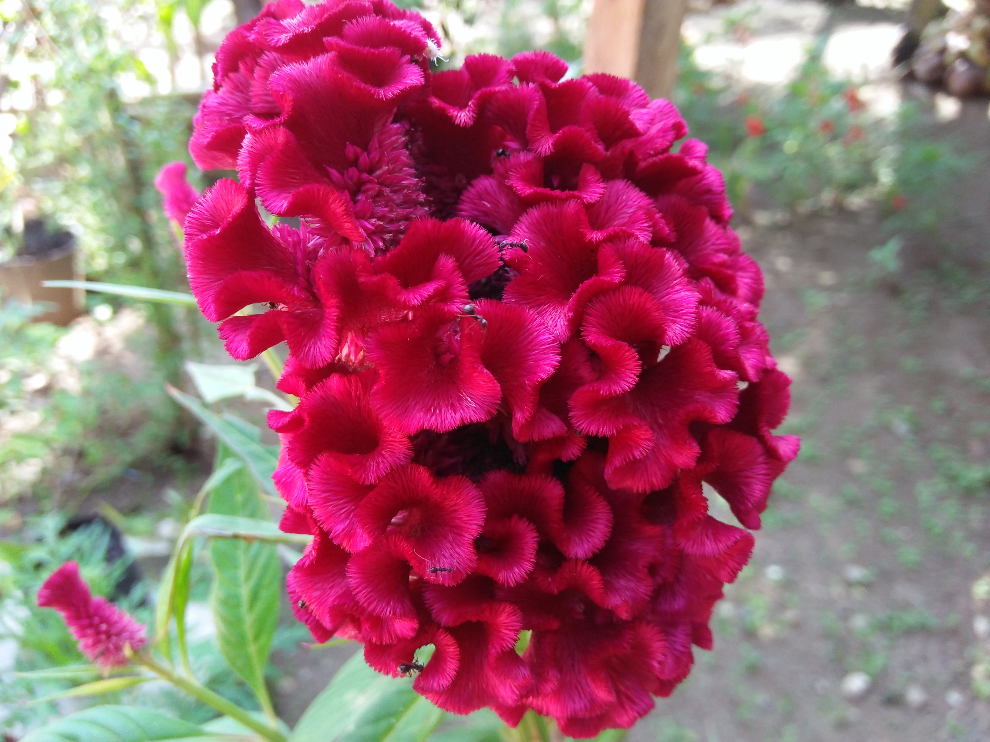IMG20210627143941.jpg