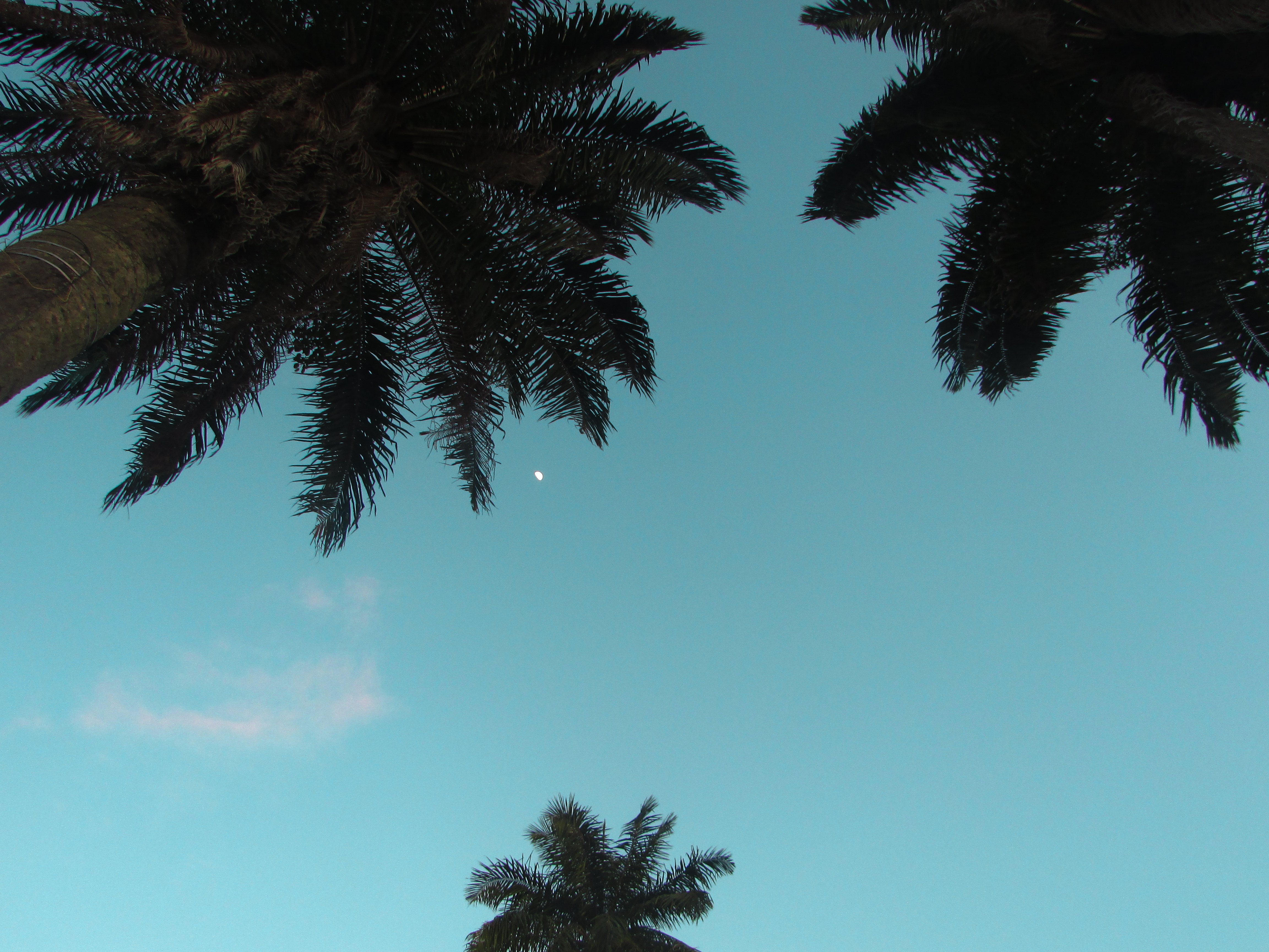20082018-IMG_9224.jpg