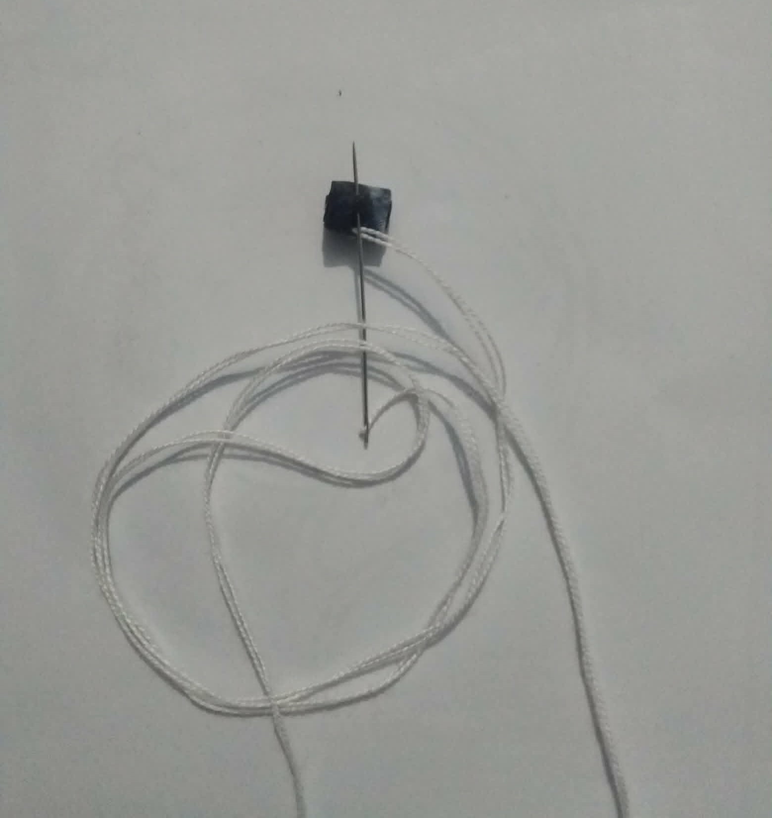 e6.jpg
