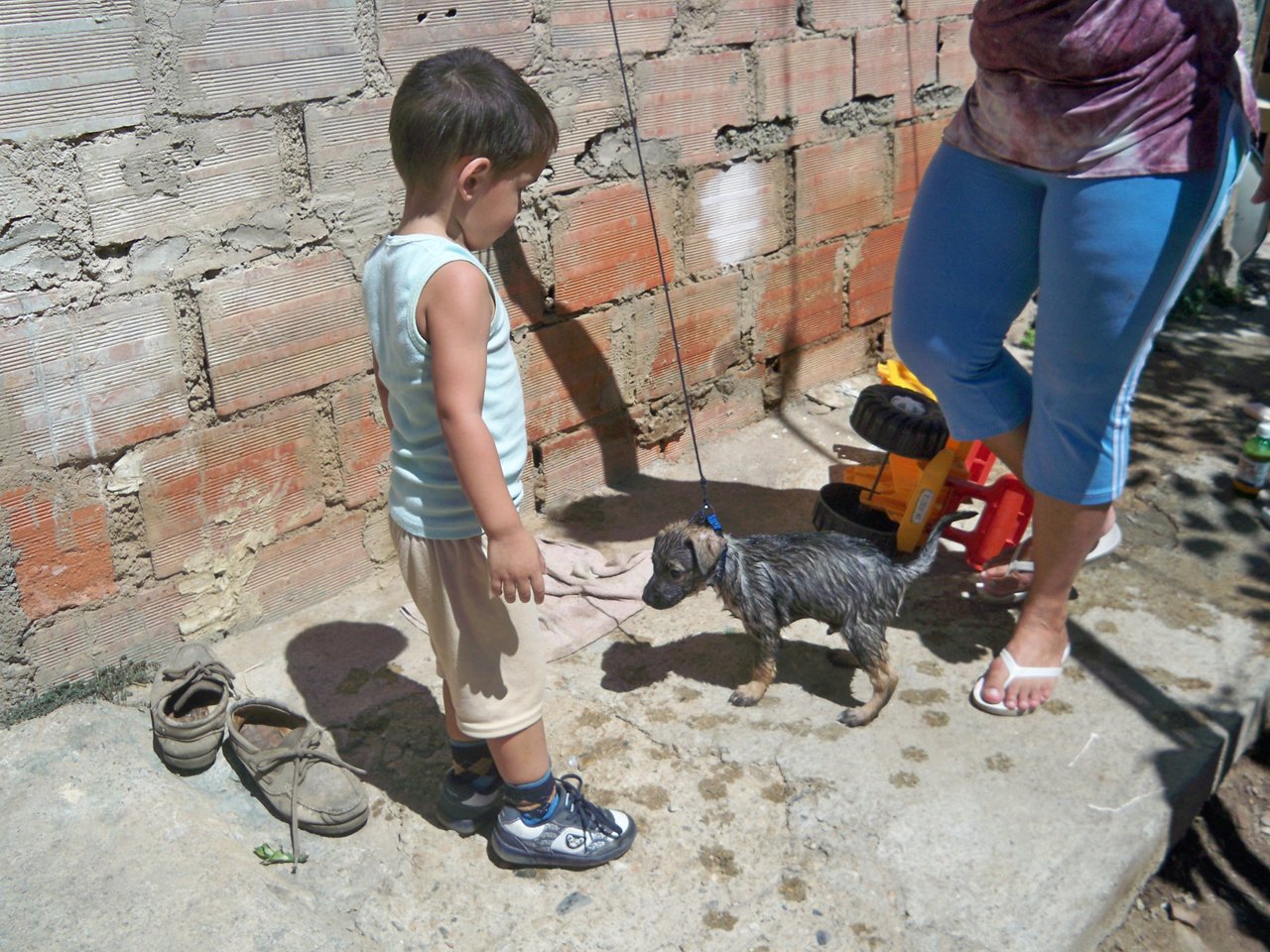 1001647763.jpg