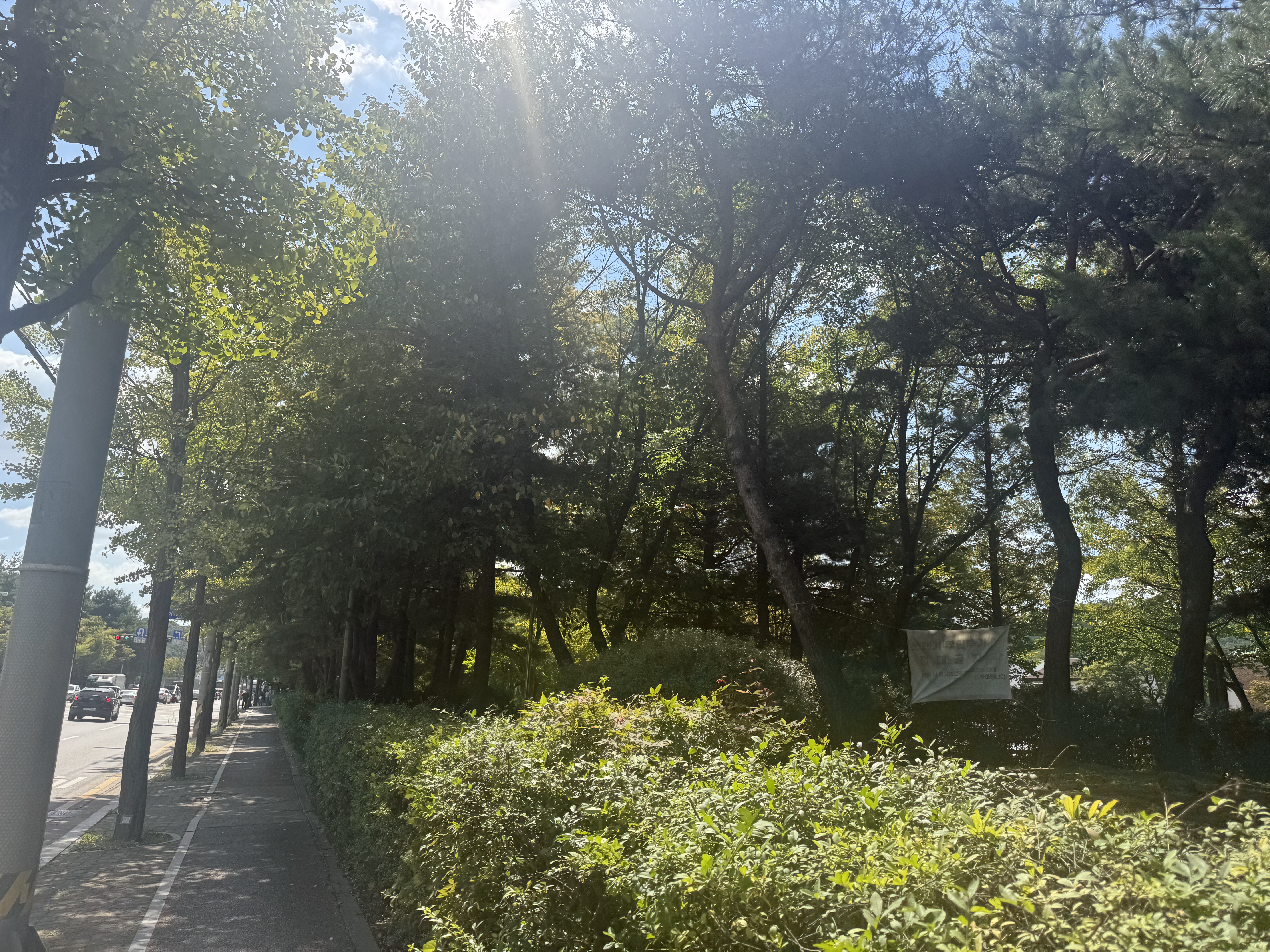 IMG_2281.jpeg