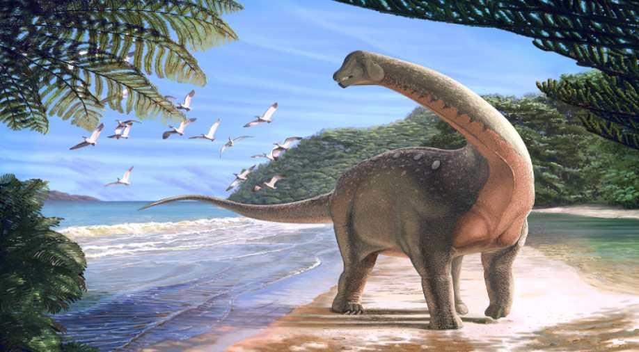 40092-dinosaur-20180131031413.jpg