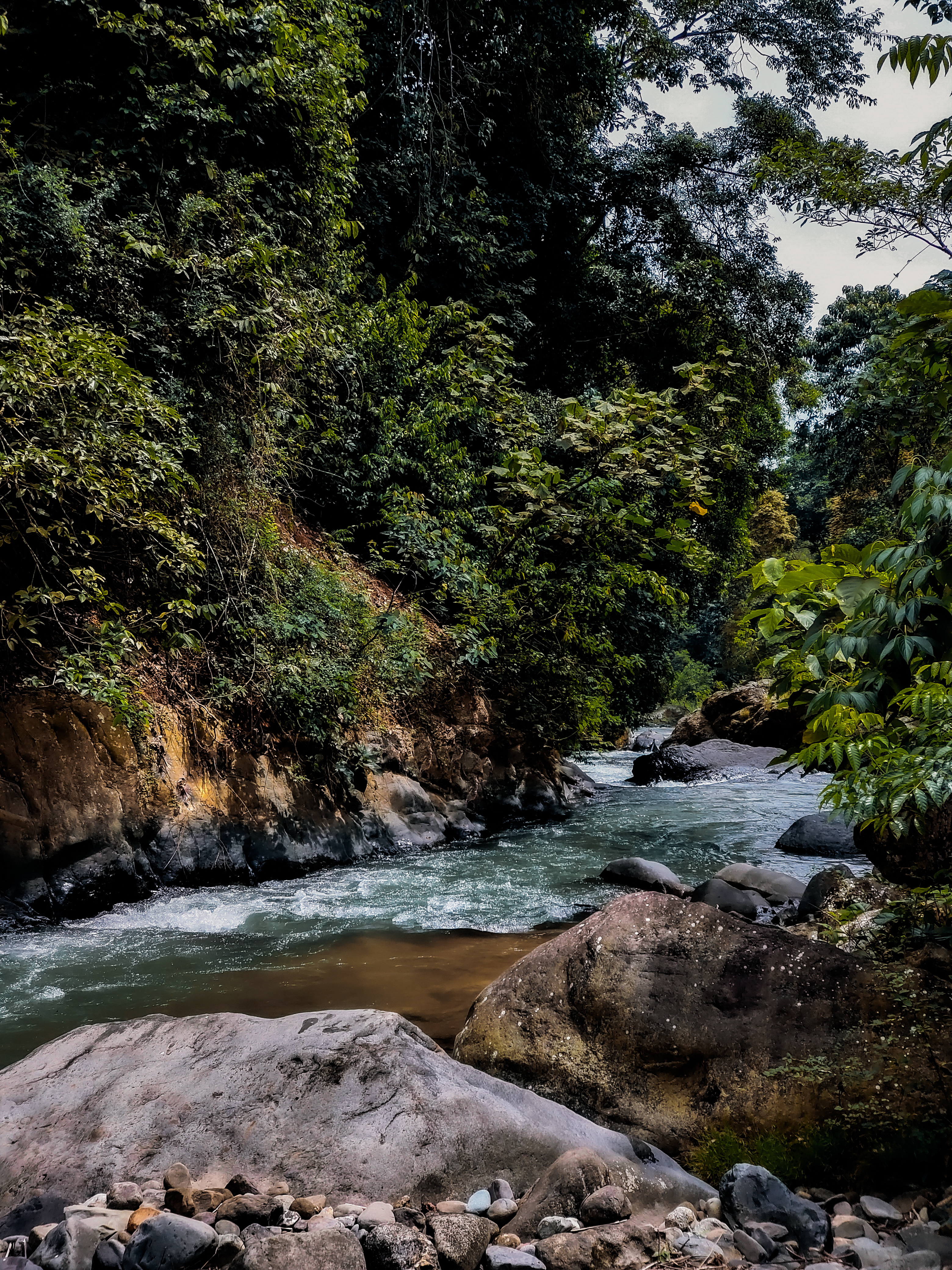 1662376582684 (1).jpg