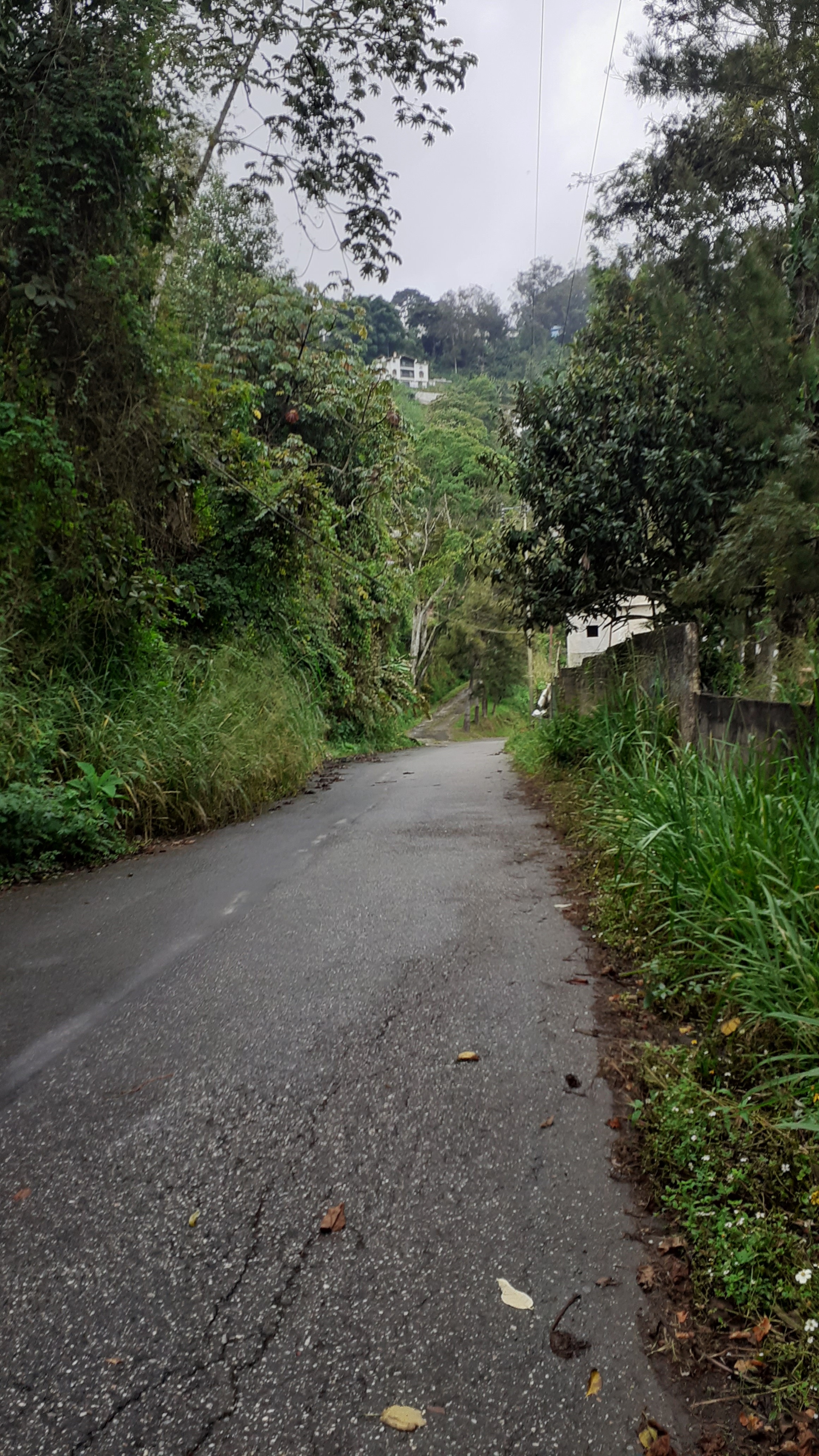 20201101_101251.jpg
