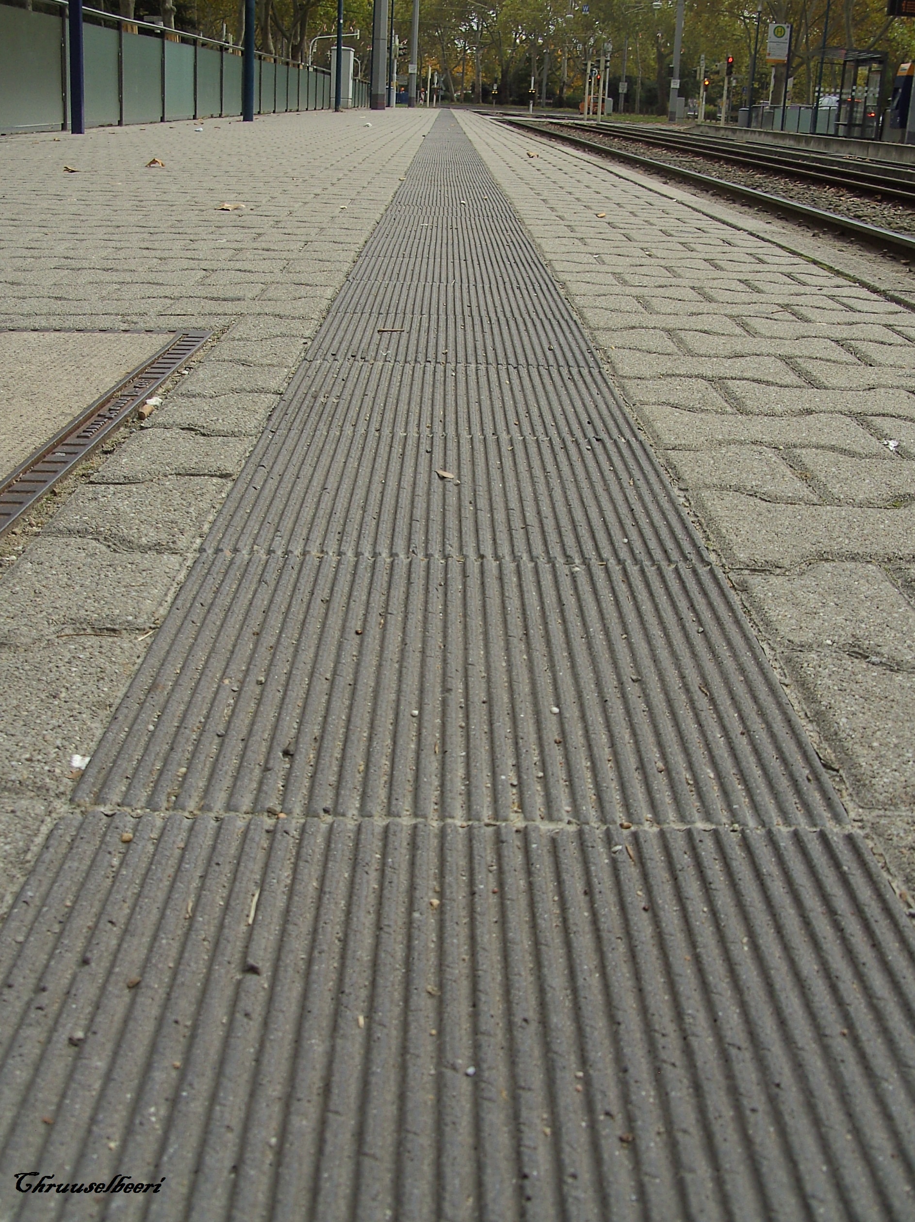 Symbole_09.jpg