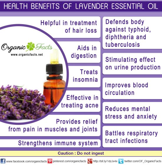 health-benefits-lavender-essential-oil.jpg.jpg