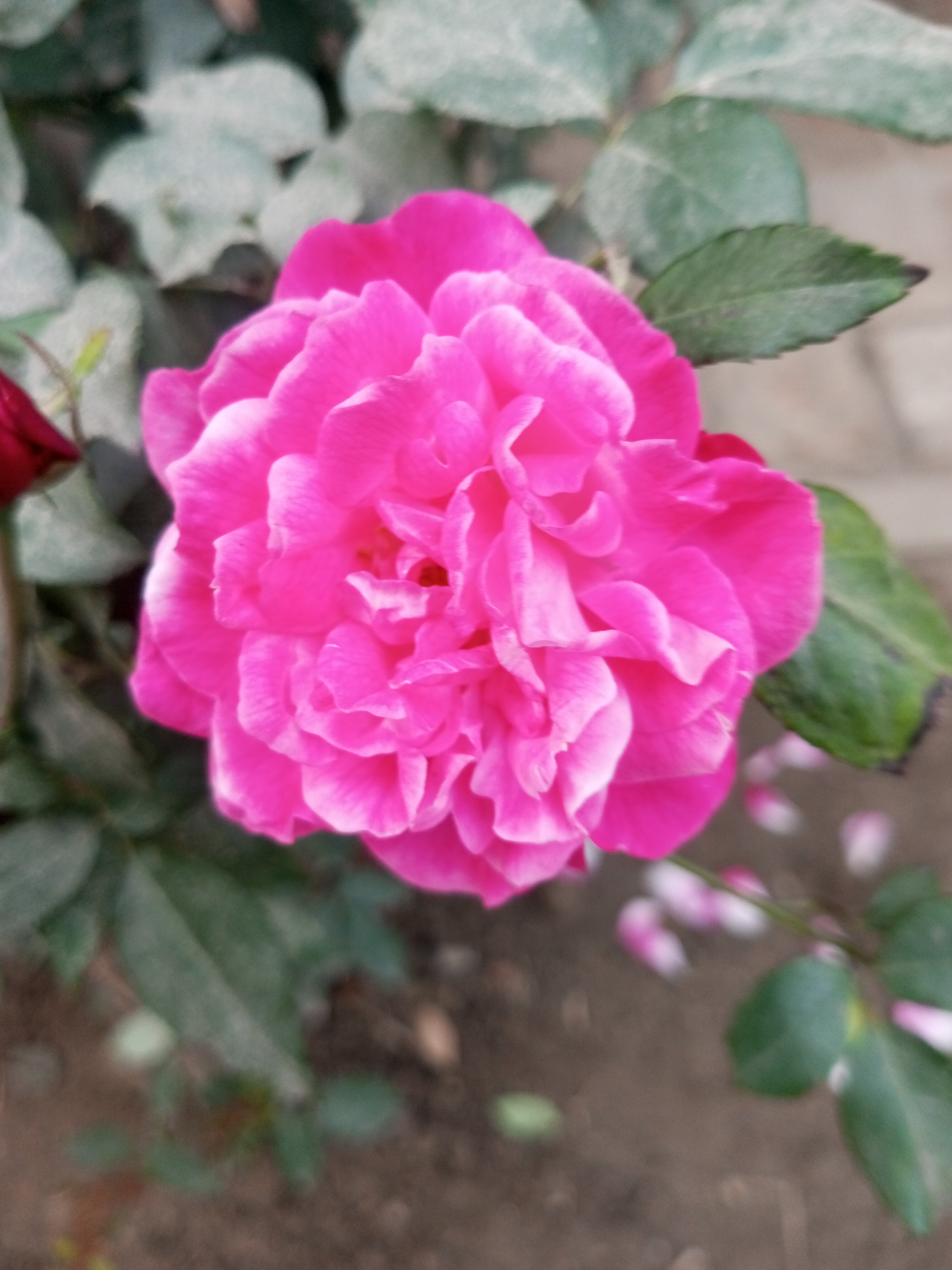 IMG_20230117_164709_682.jpg