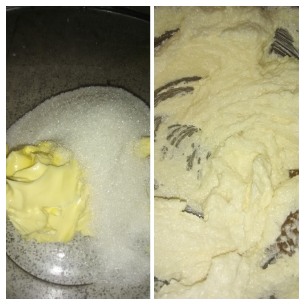 20210627_165134-COLLAGE.jpg