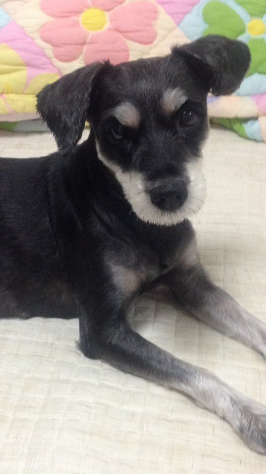KakaoTalk_20170805_234605095.jpg