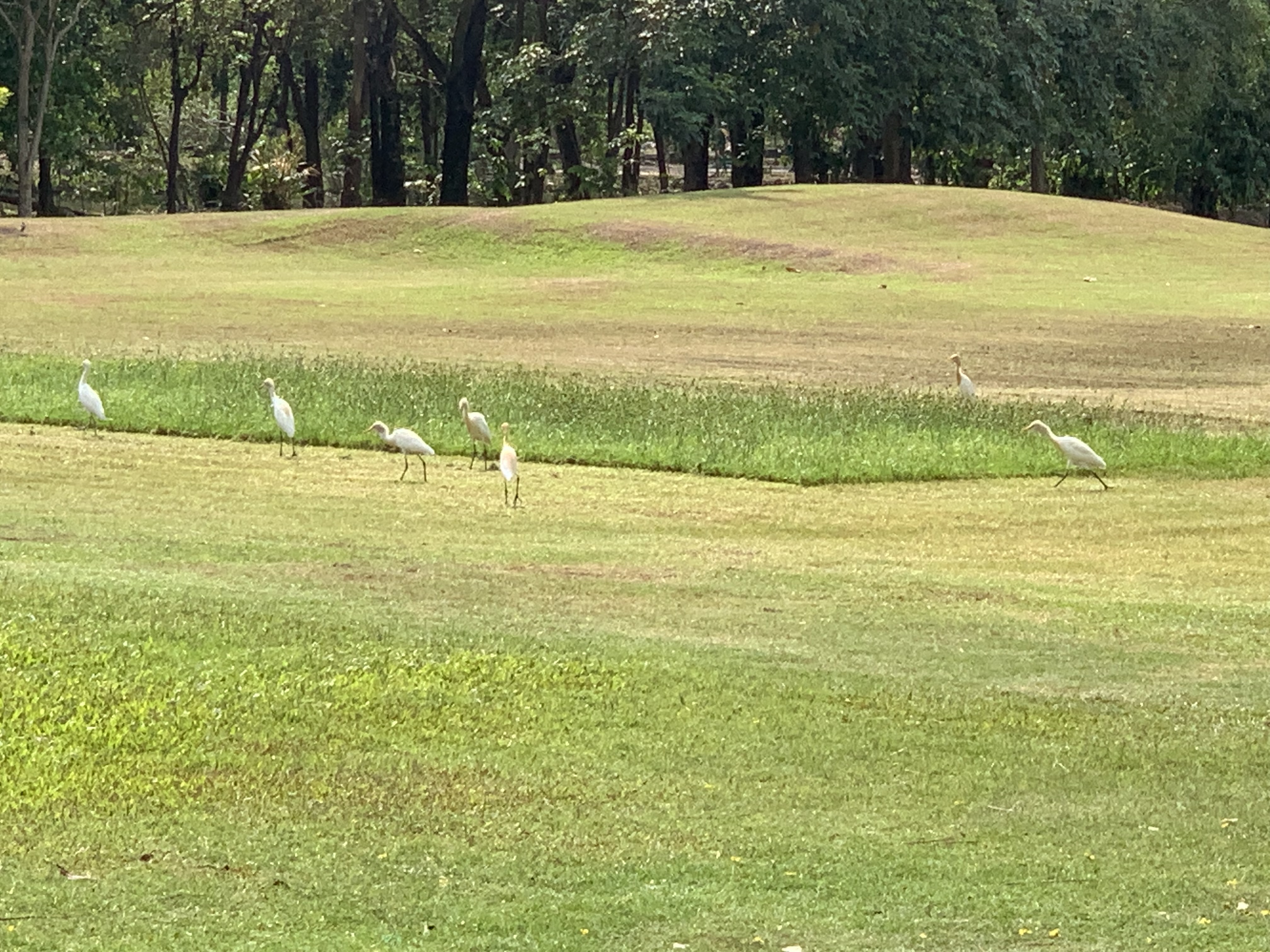 birdwatching spots17.jpg