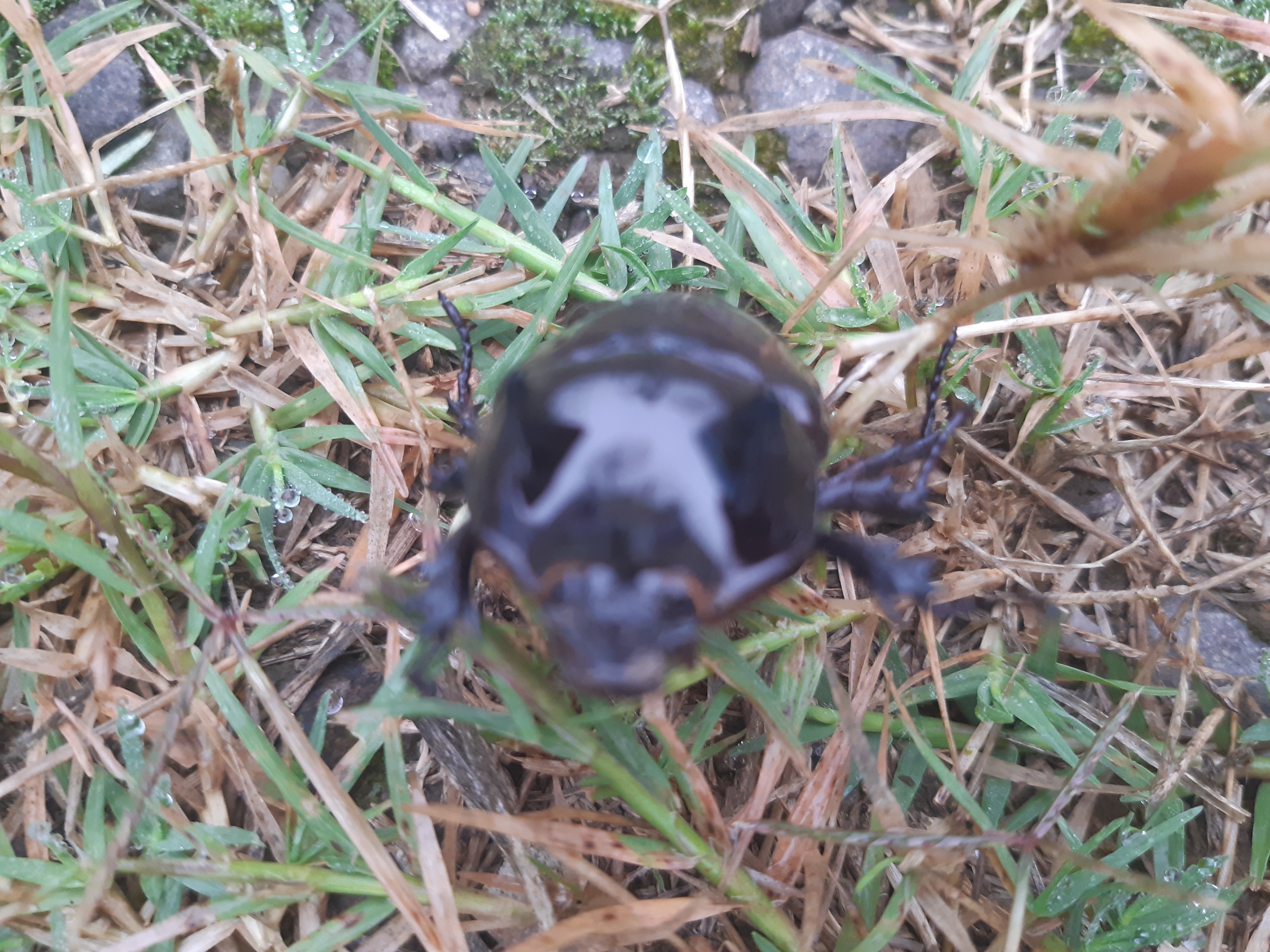 20220223_065139.jpg