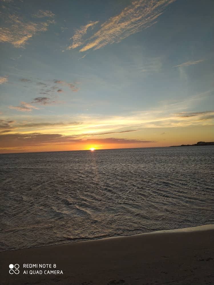 IMG-20210126-WA0055.jpg
