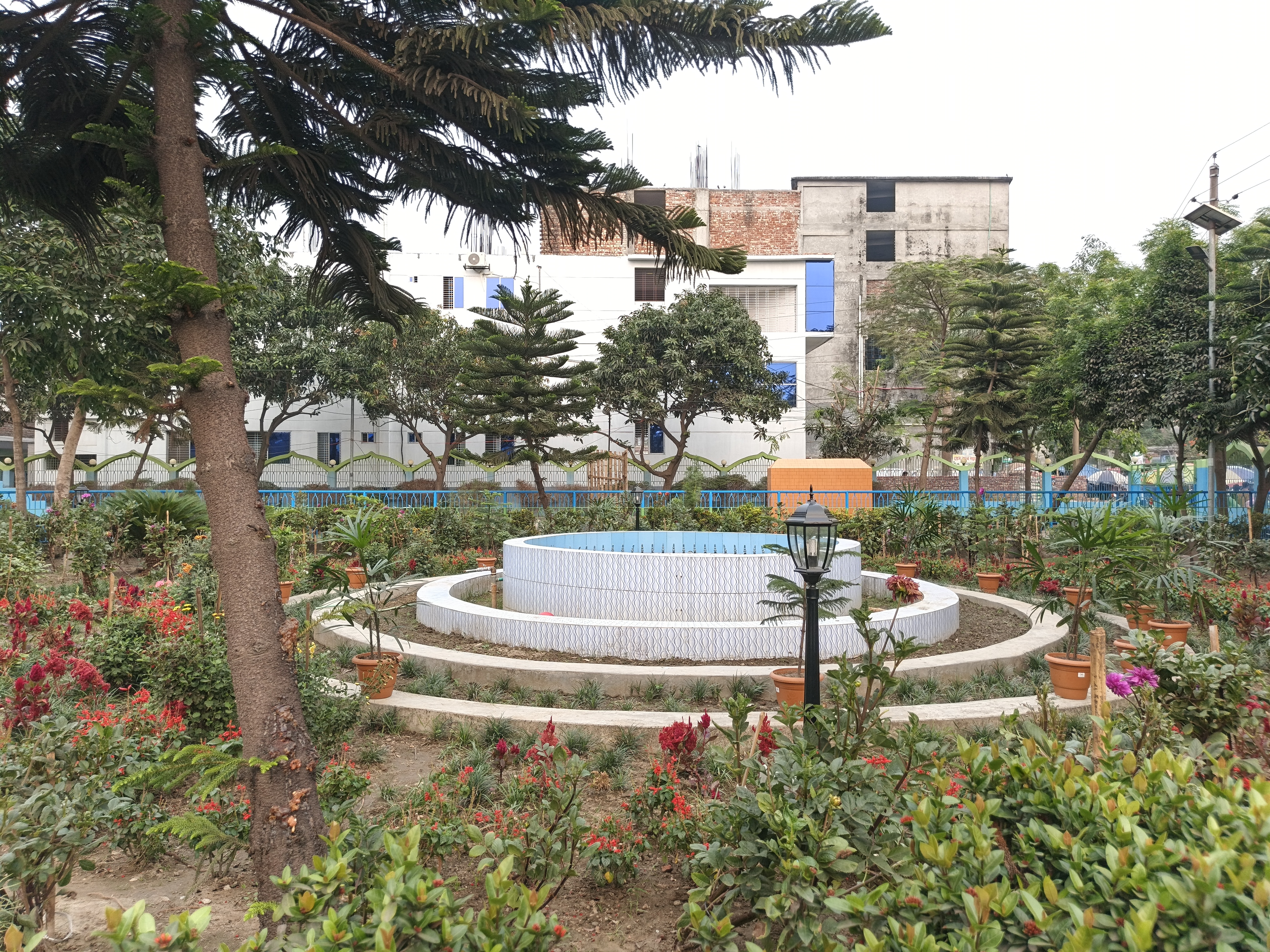 29790.jpg