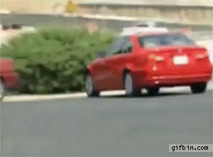 FF92D9CA-7E60-4A77-B08C-5A73EEFECA46.gif