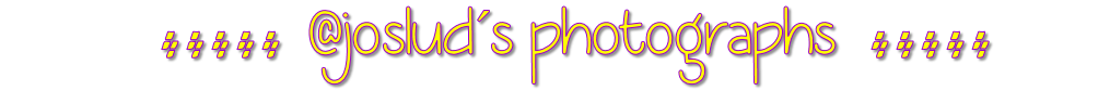 Art-banner2.png