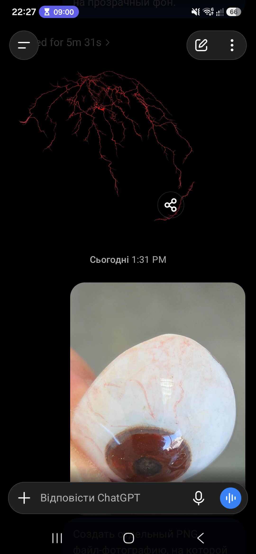 1000087470.jpg