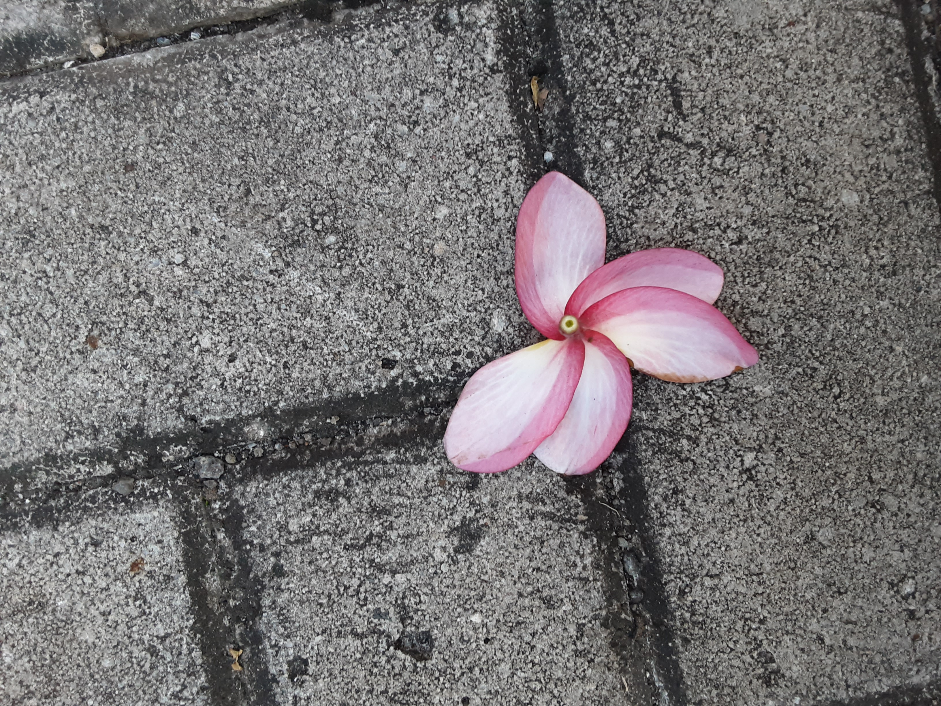 20200614_171416.jpg