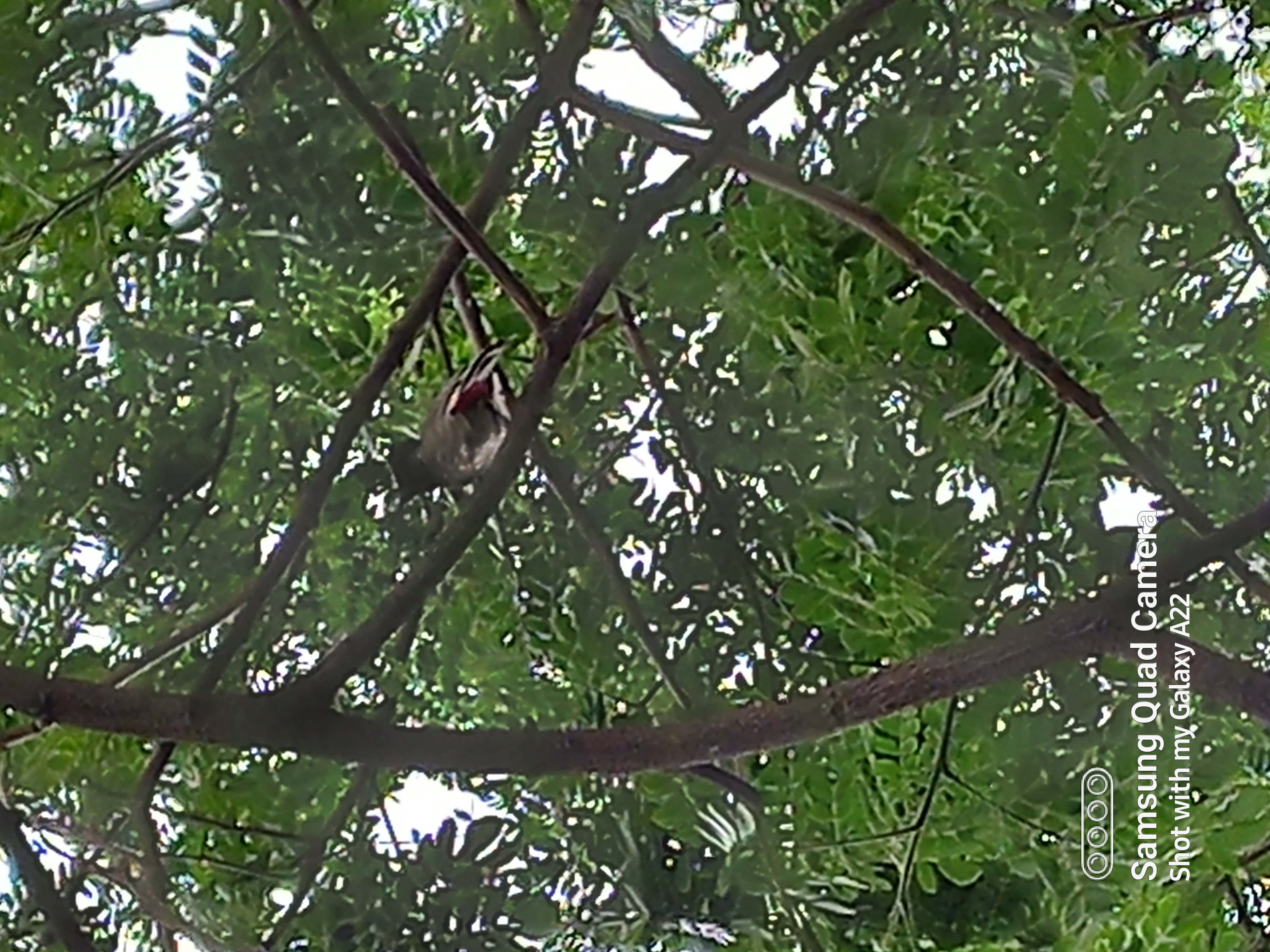 20220513_074733.jpg