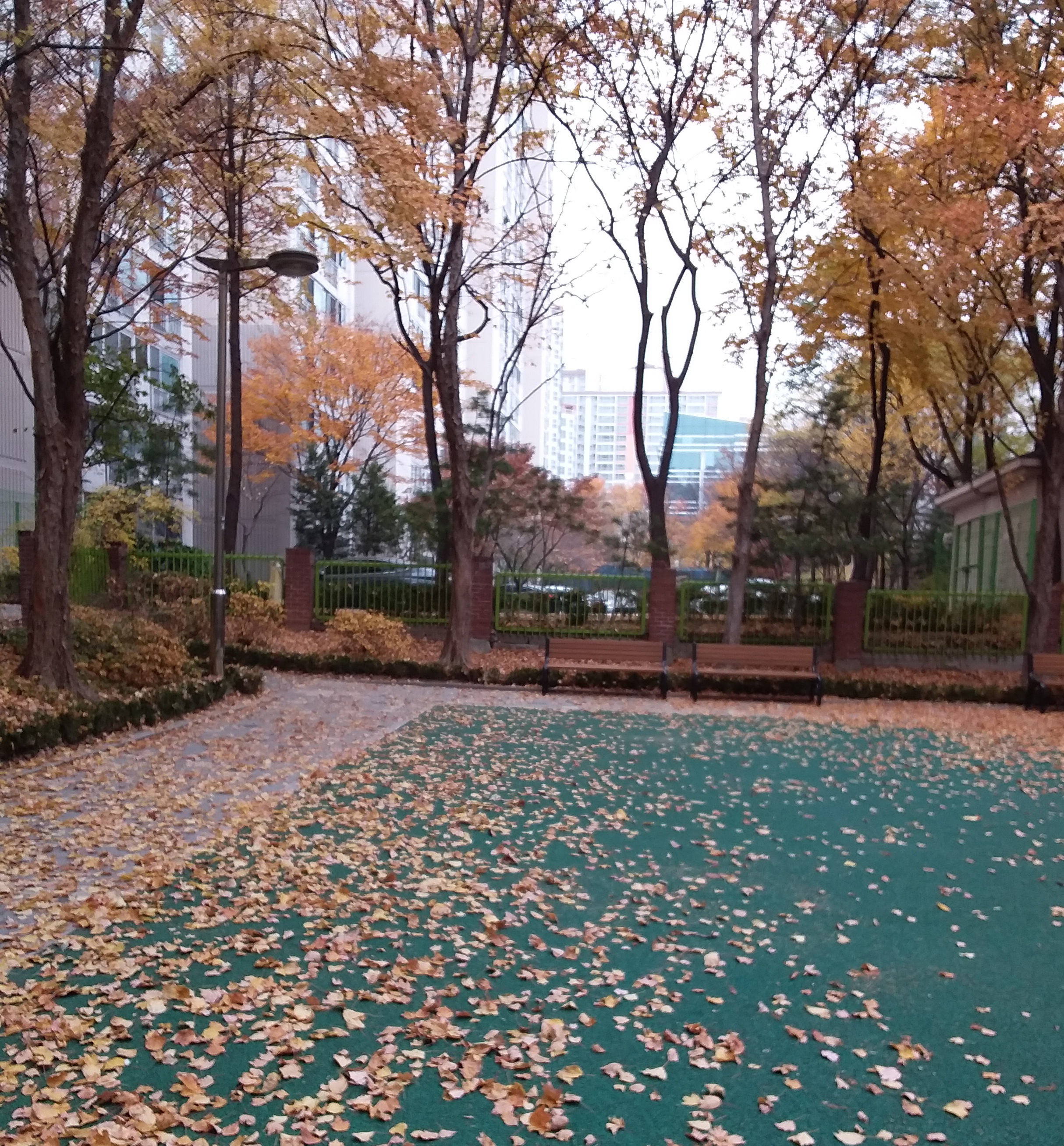 20201117_122217.jpg