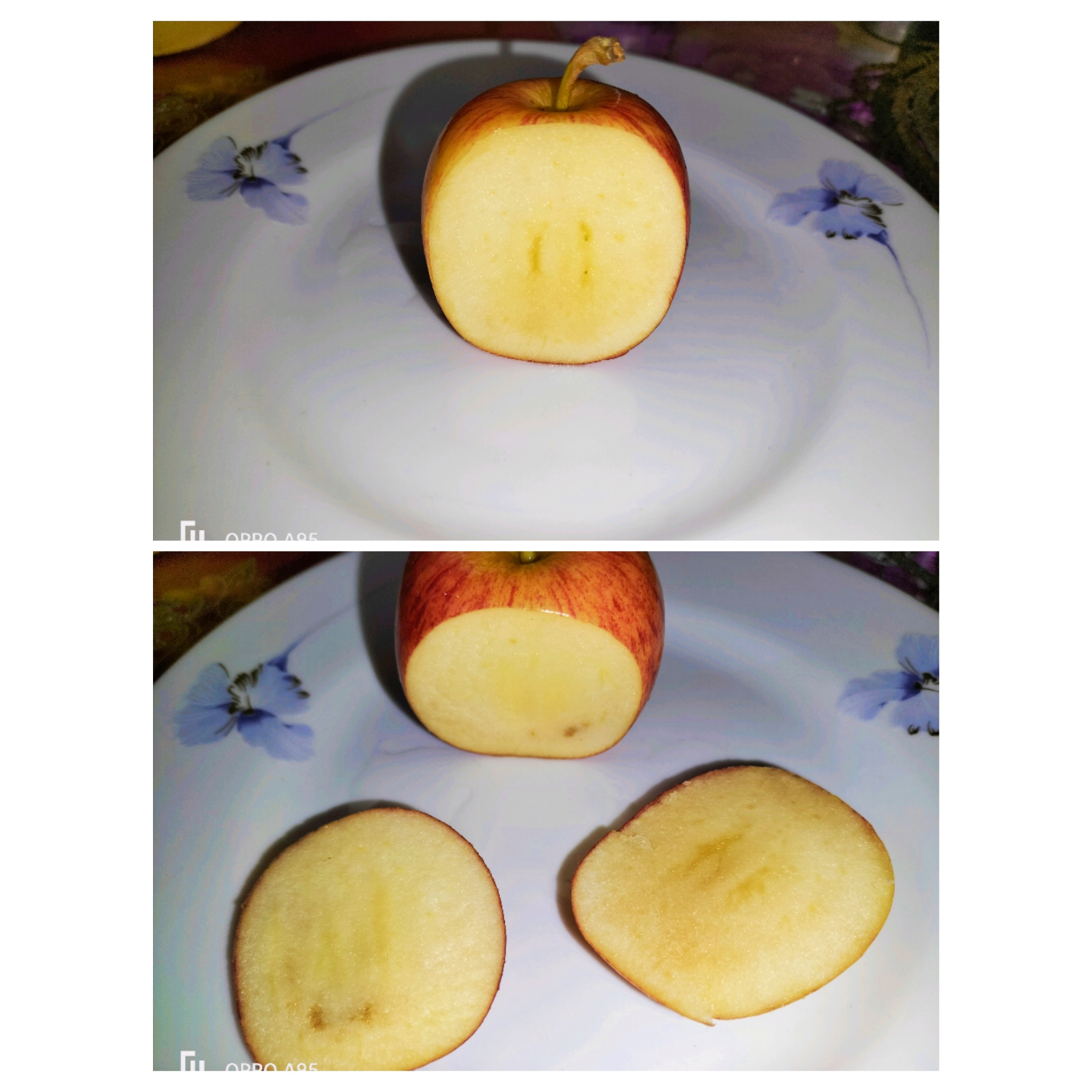 PhotoCollage_1715577865425.jpg