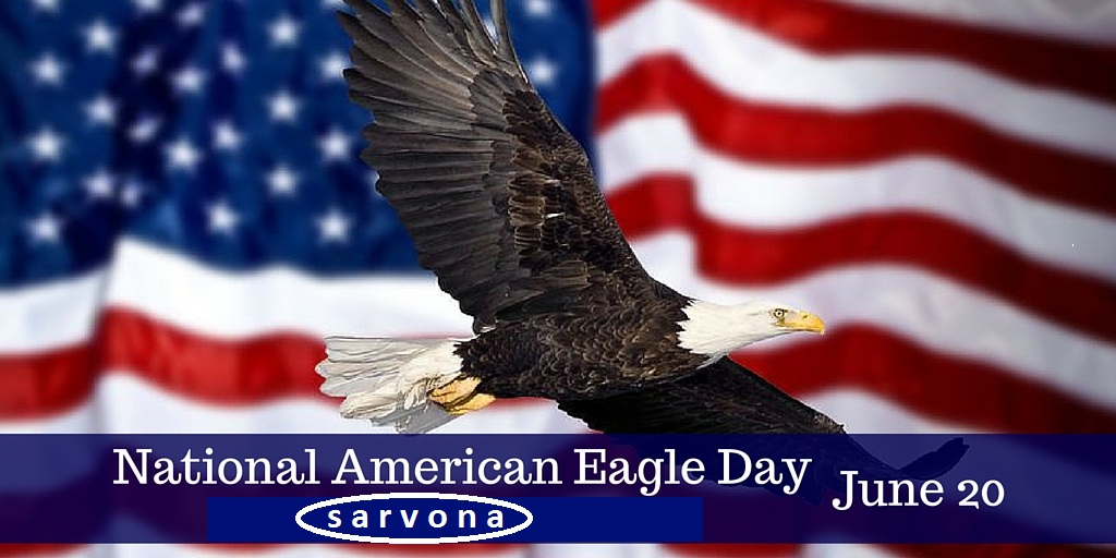 National america. American Eagle Day. 20 Июня национальный день американского орла. Игра Eagle of the National. National Valentino Day США.