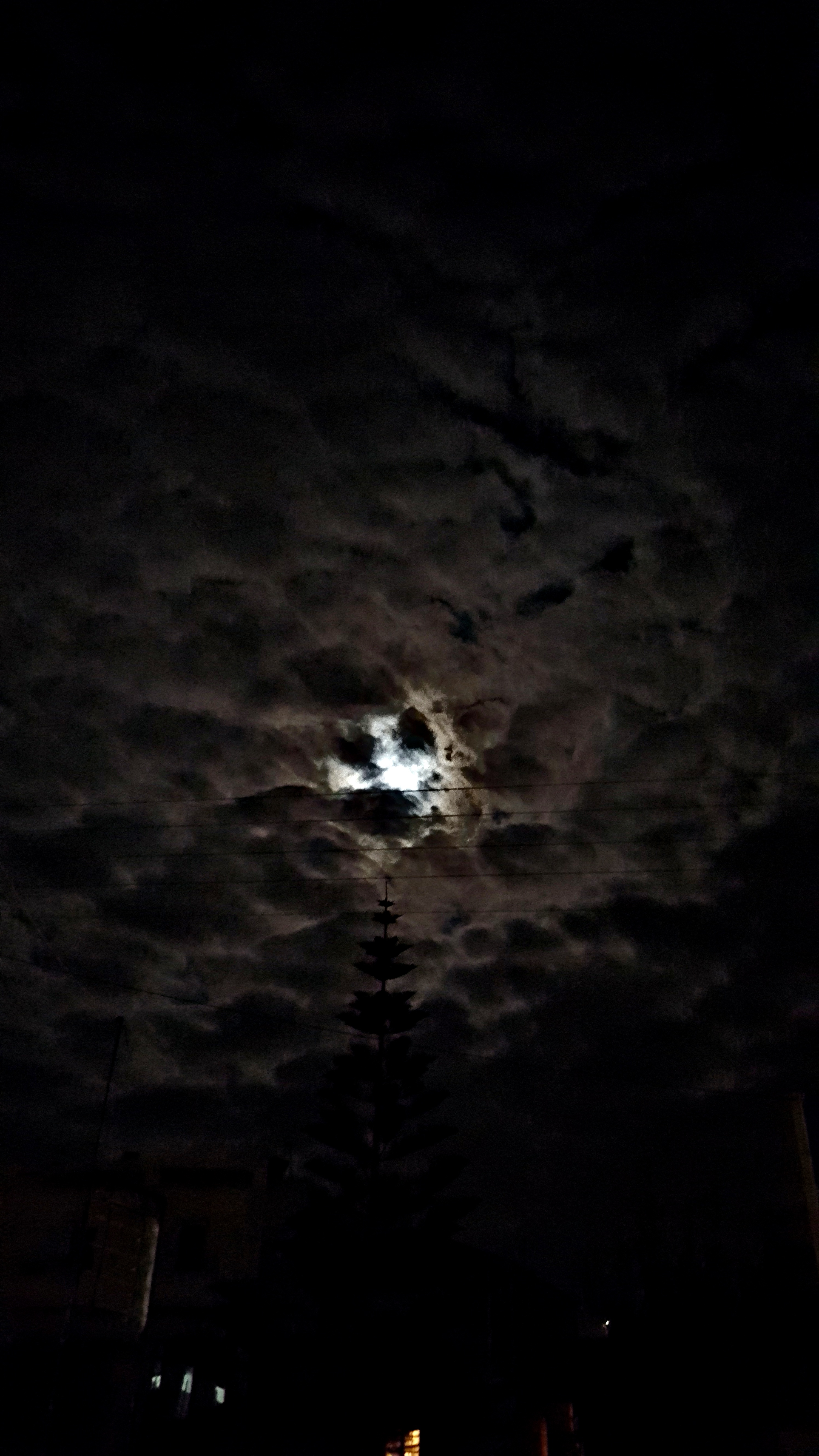 20190218_224931.jpg