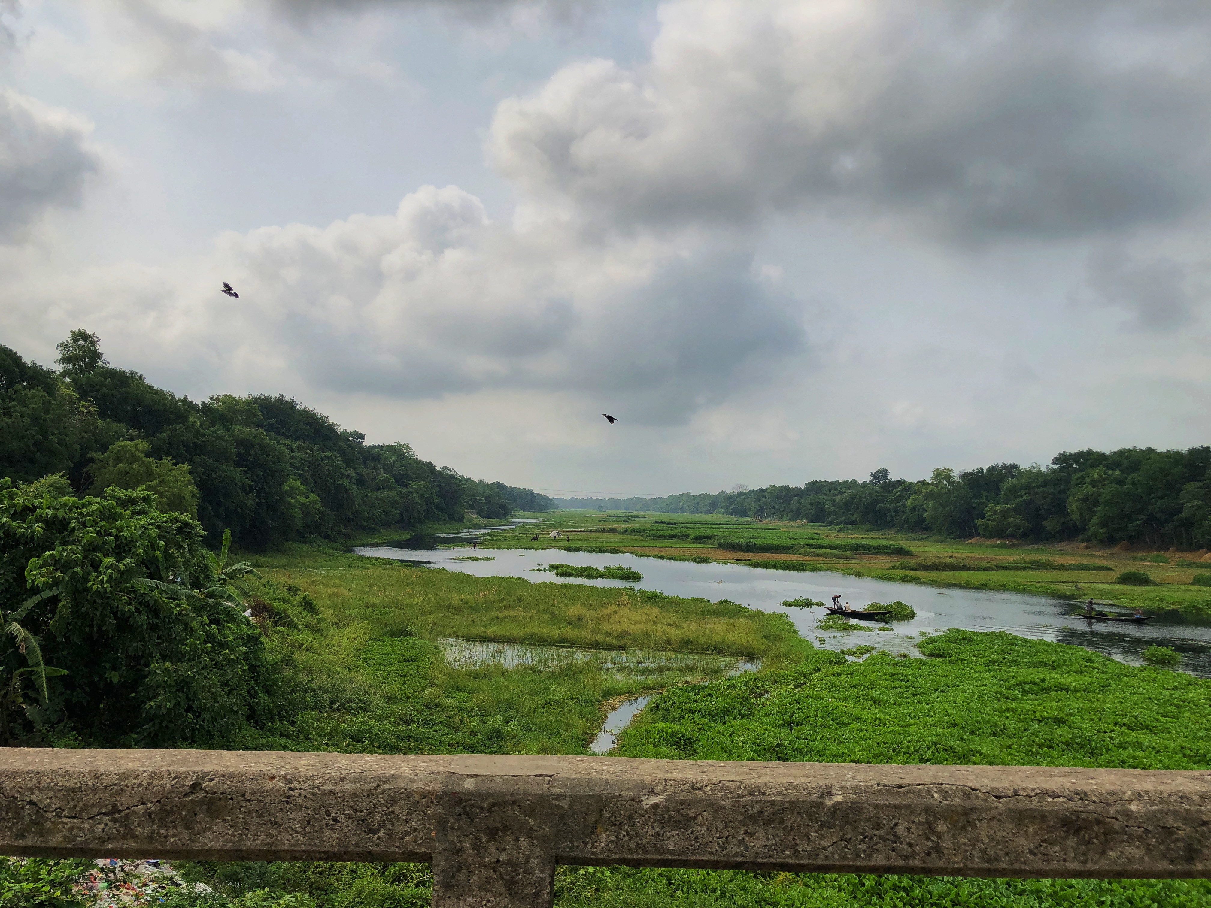 সবুজে ঘেরা গ্রামের গল্প পর্ব-৬৭