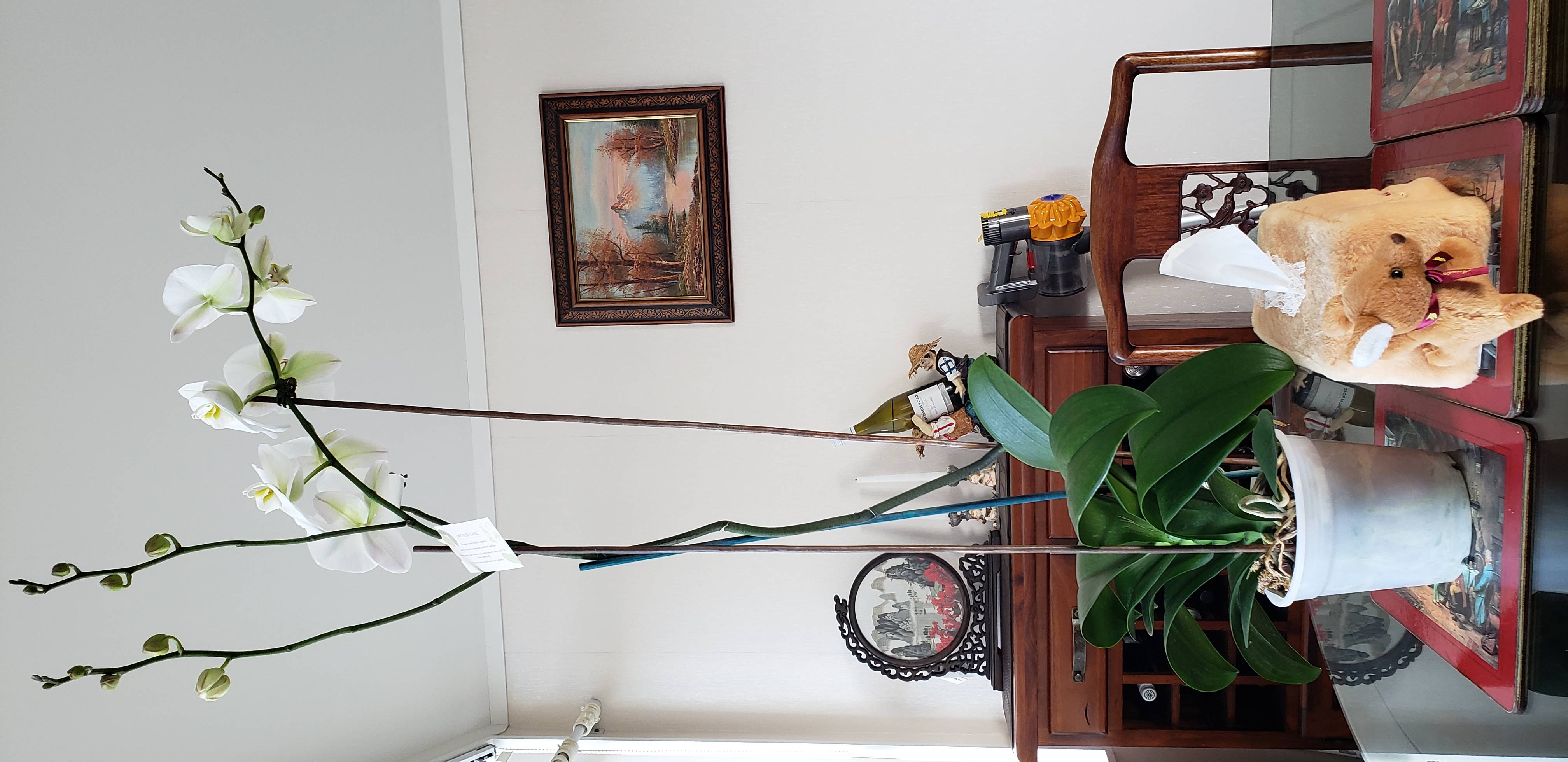 20180728_153316.jpg