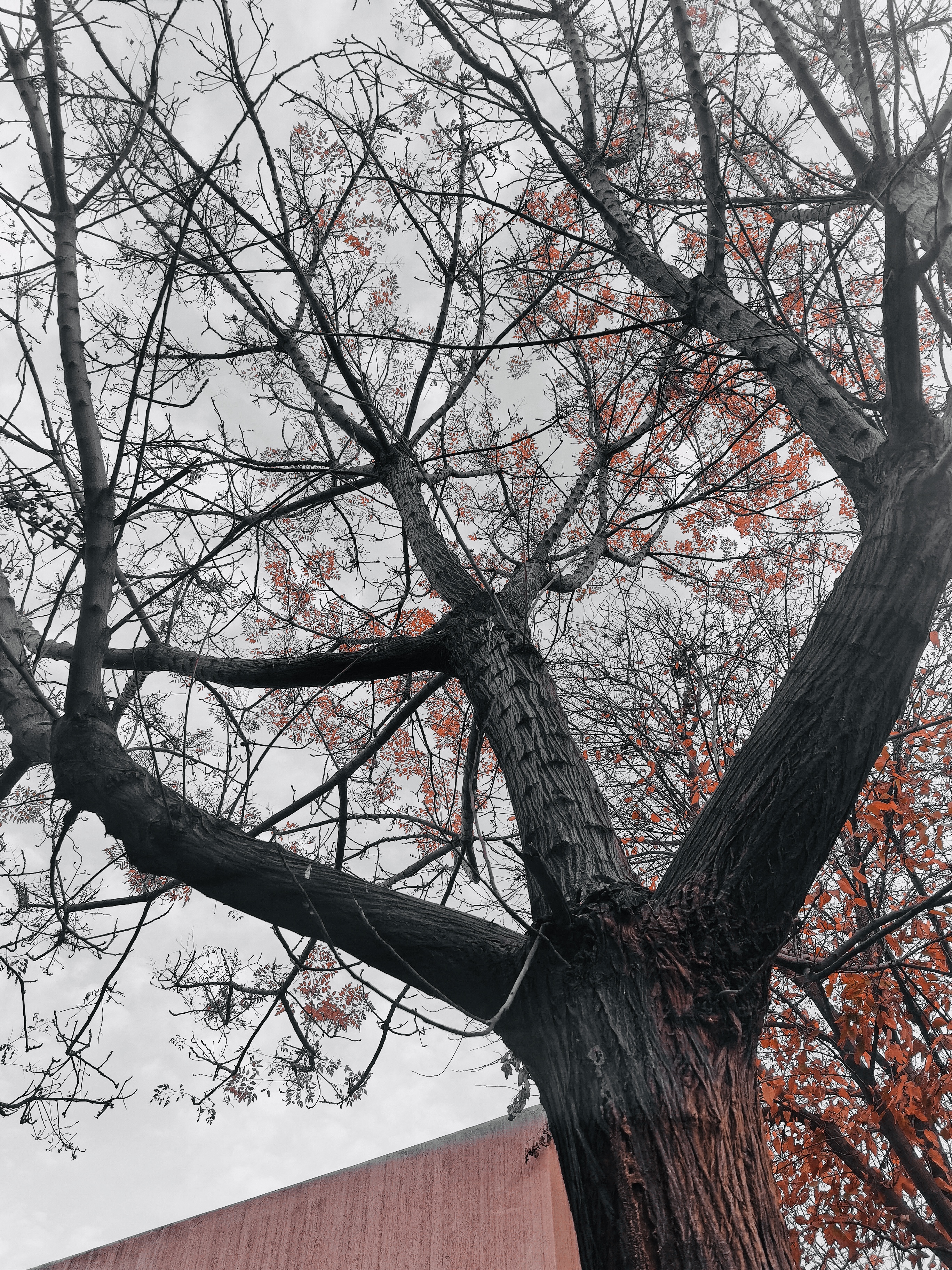 80981F2E-65ED-4D1B-AB39-C3B1B2E8411A.jpeg