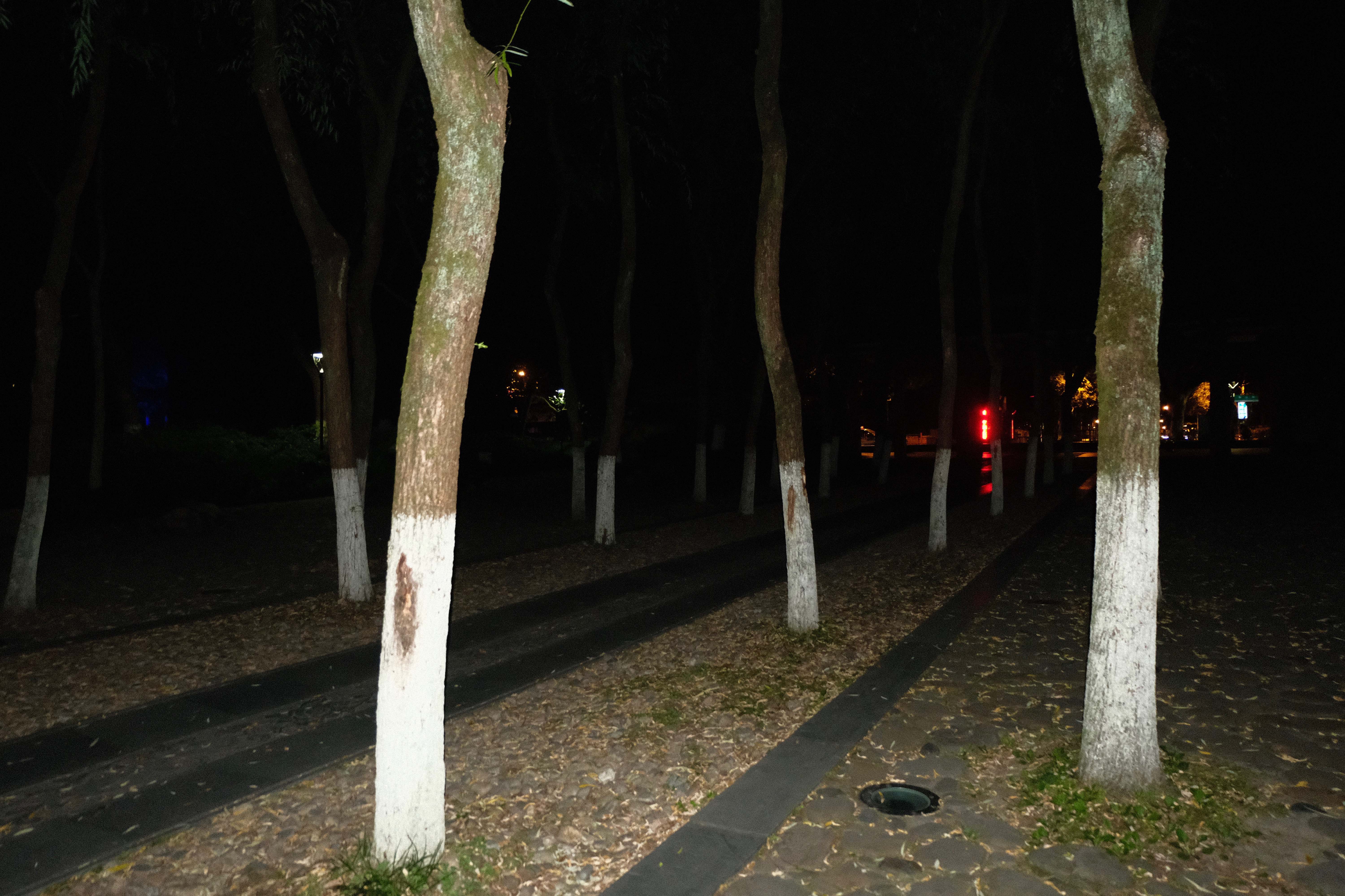 DSCF9631.jpg