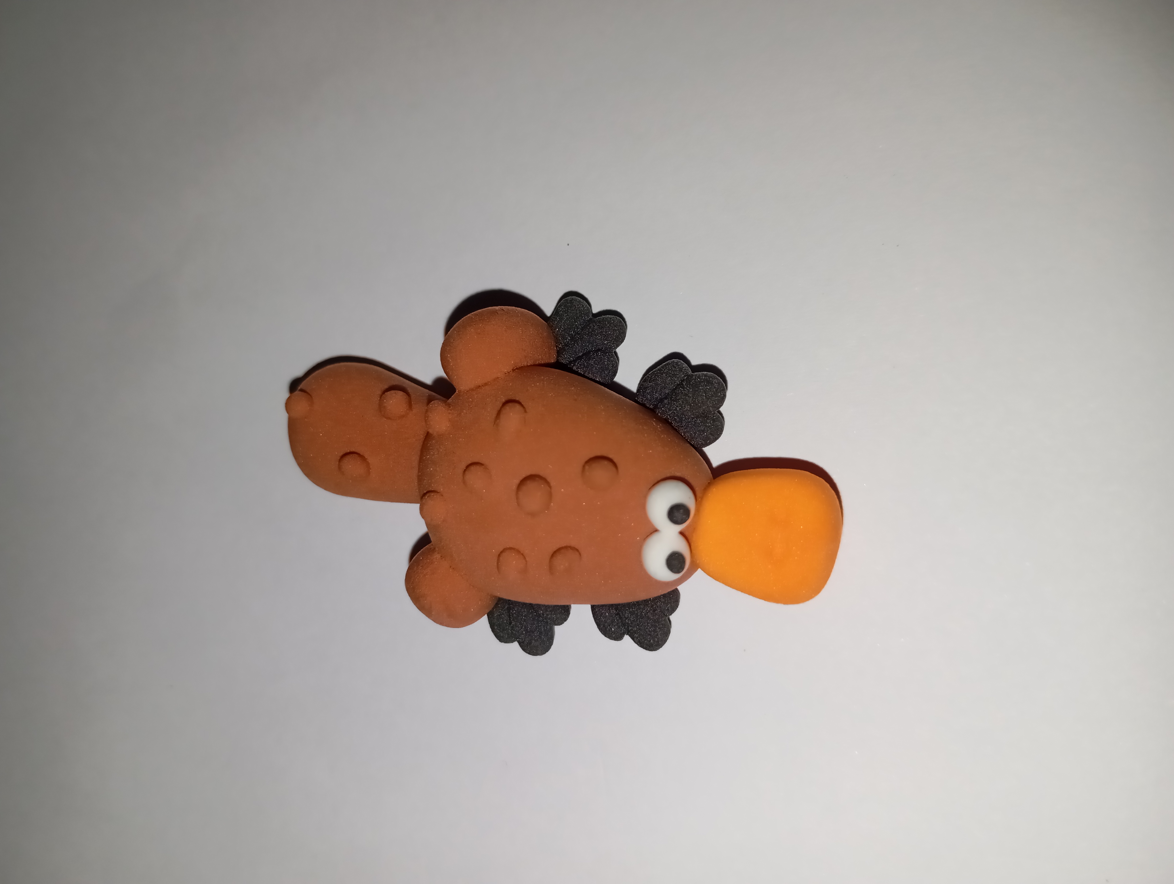 1000194737.jpg