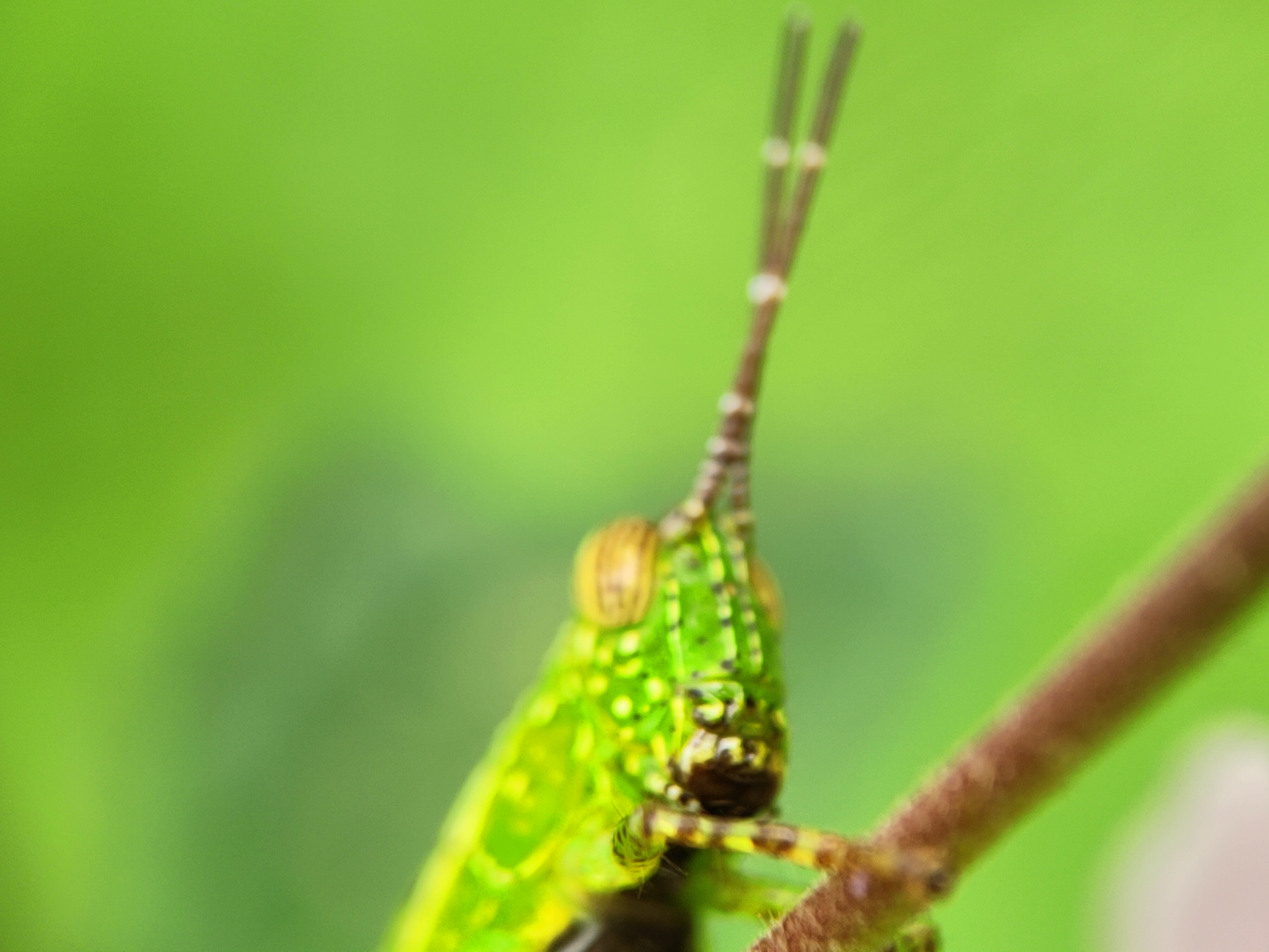 IMG20230918093015.jpg