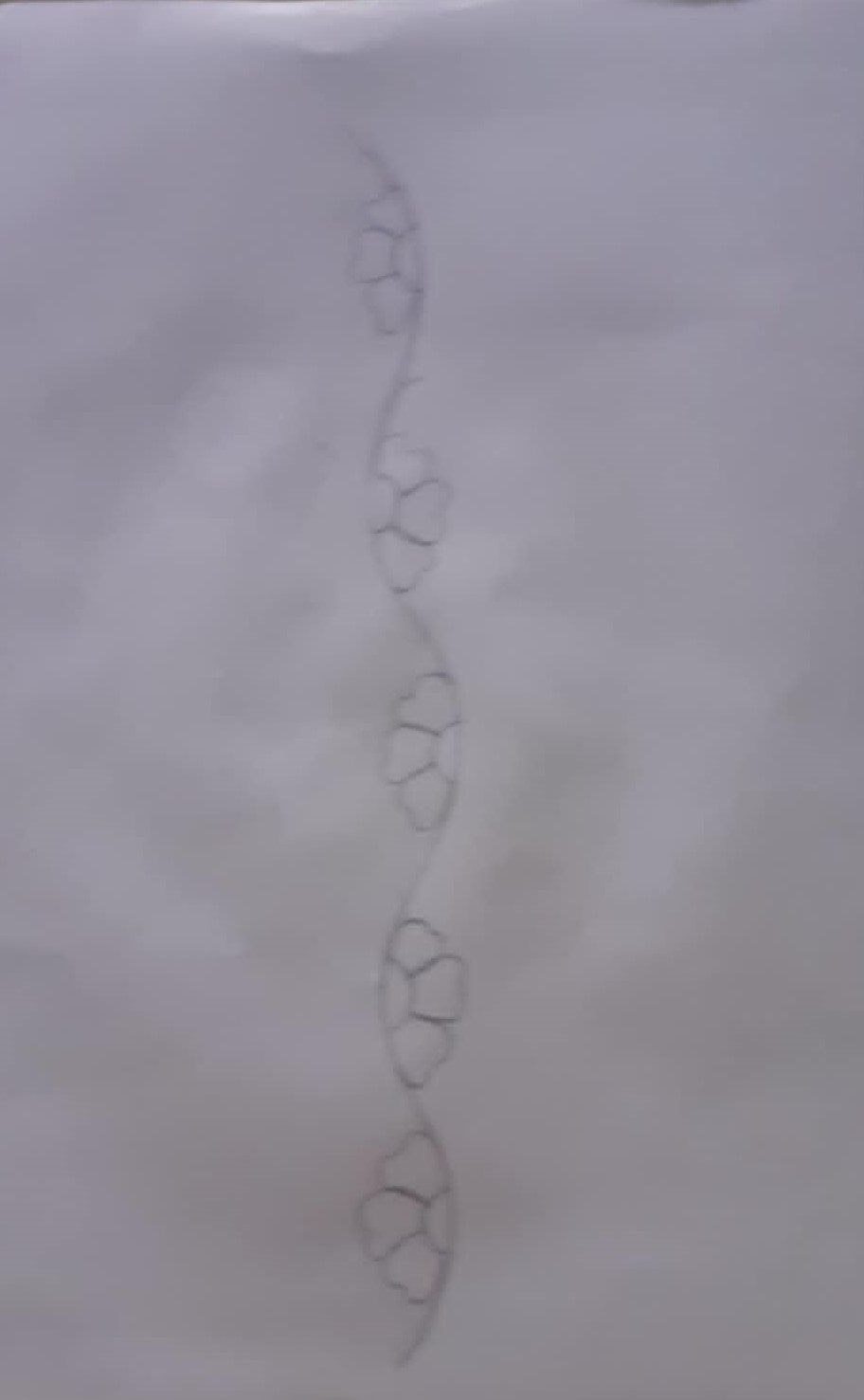 ar8.jpg