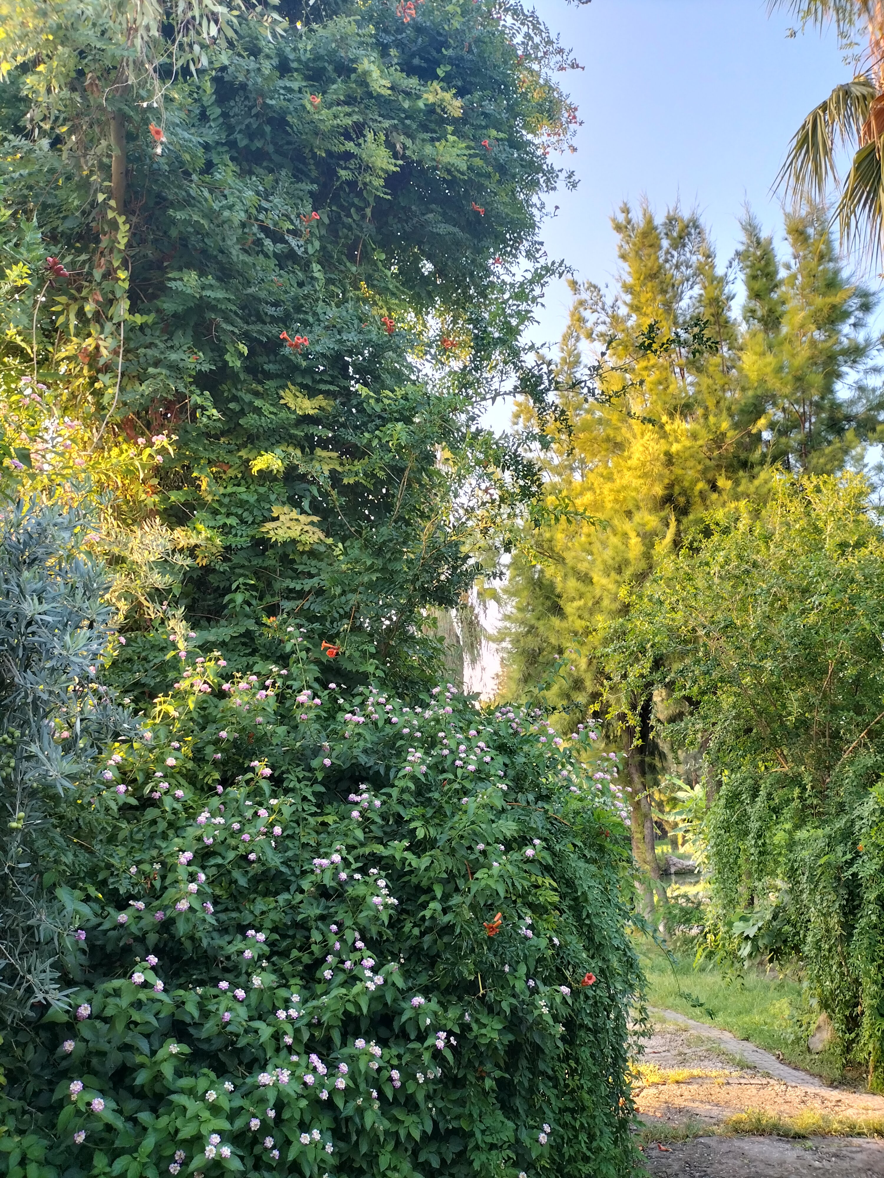 IMG20220814183704.jpg