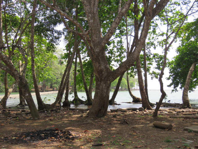 waterfron2.jpg