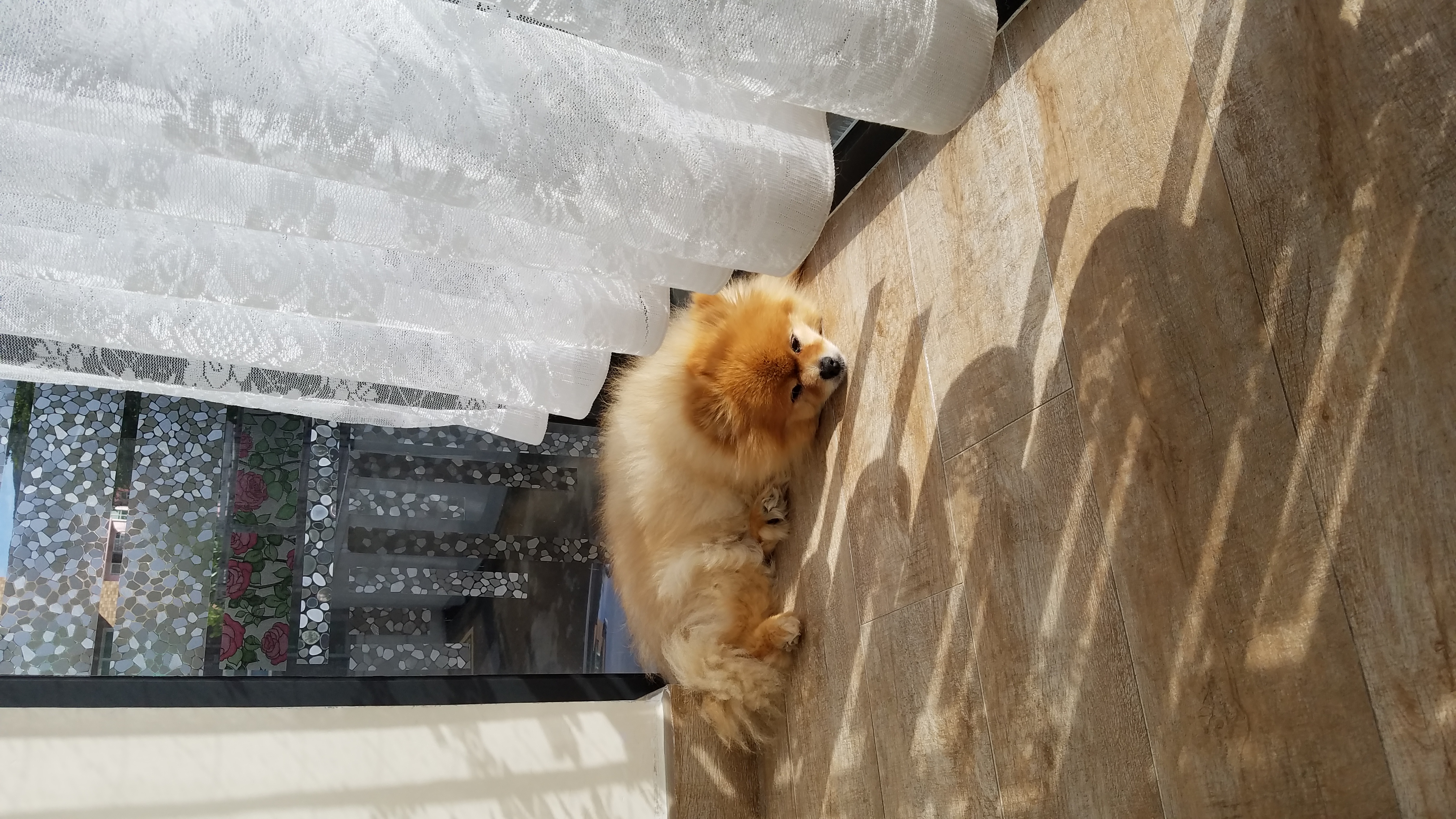 20170714_163826.jpg