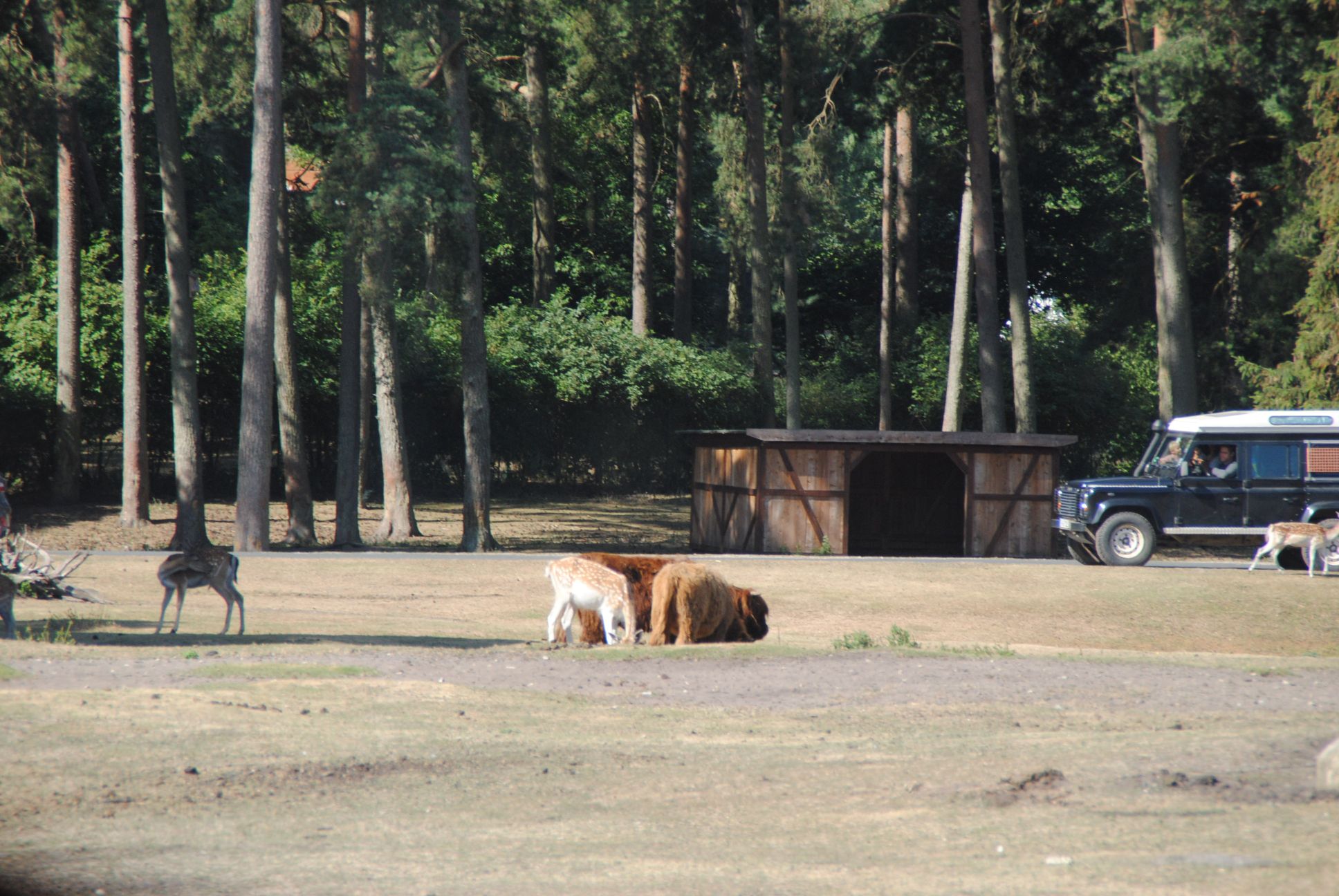 image007.jpg