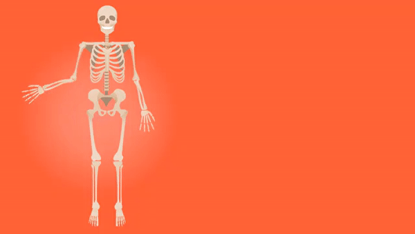 skeleton2.gif
