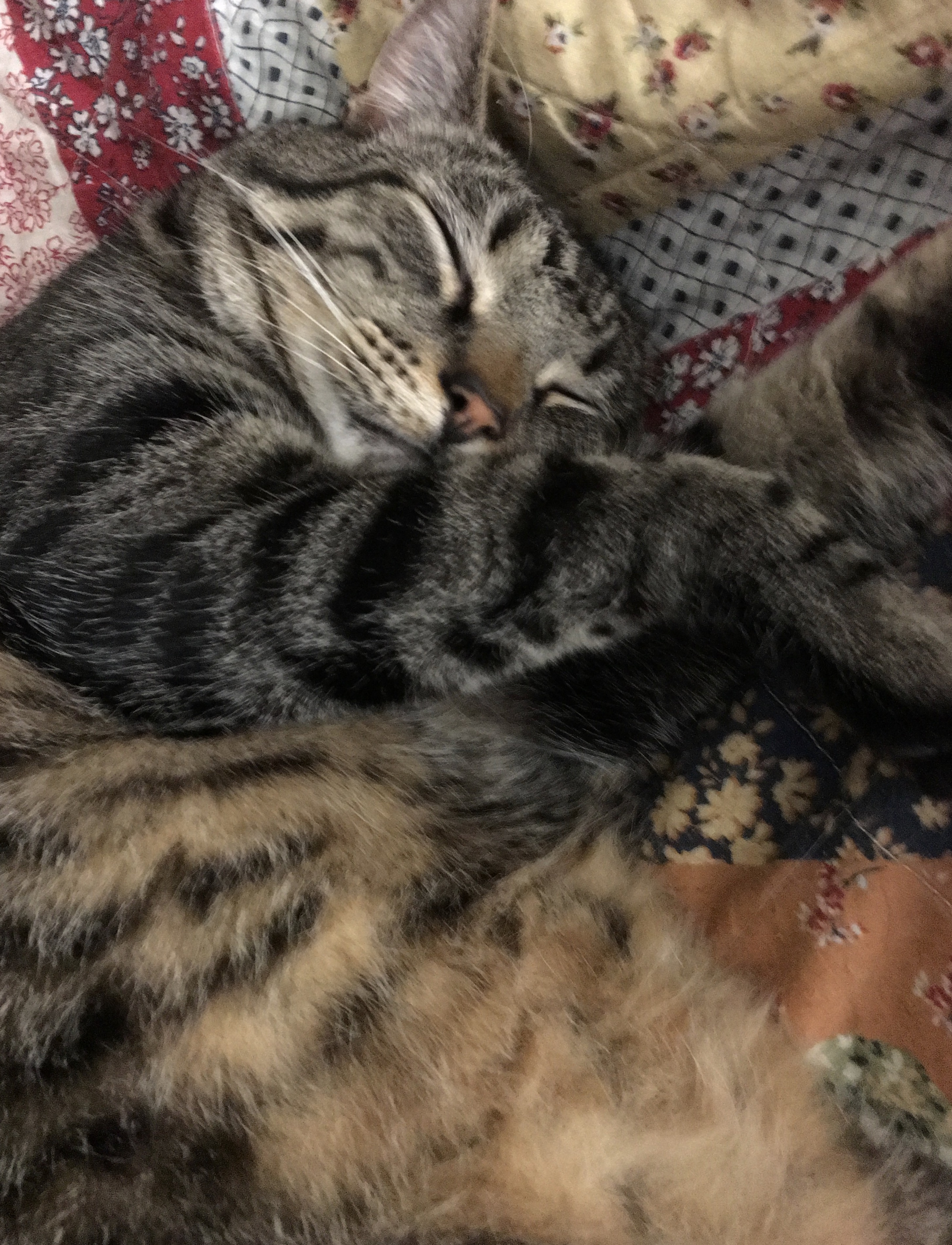 IMG_4893.jpeg