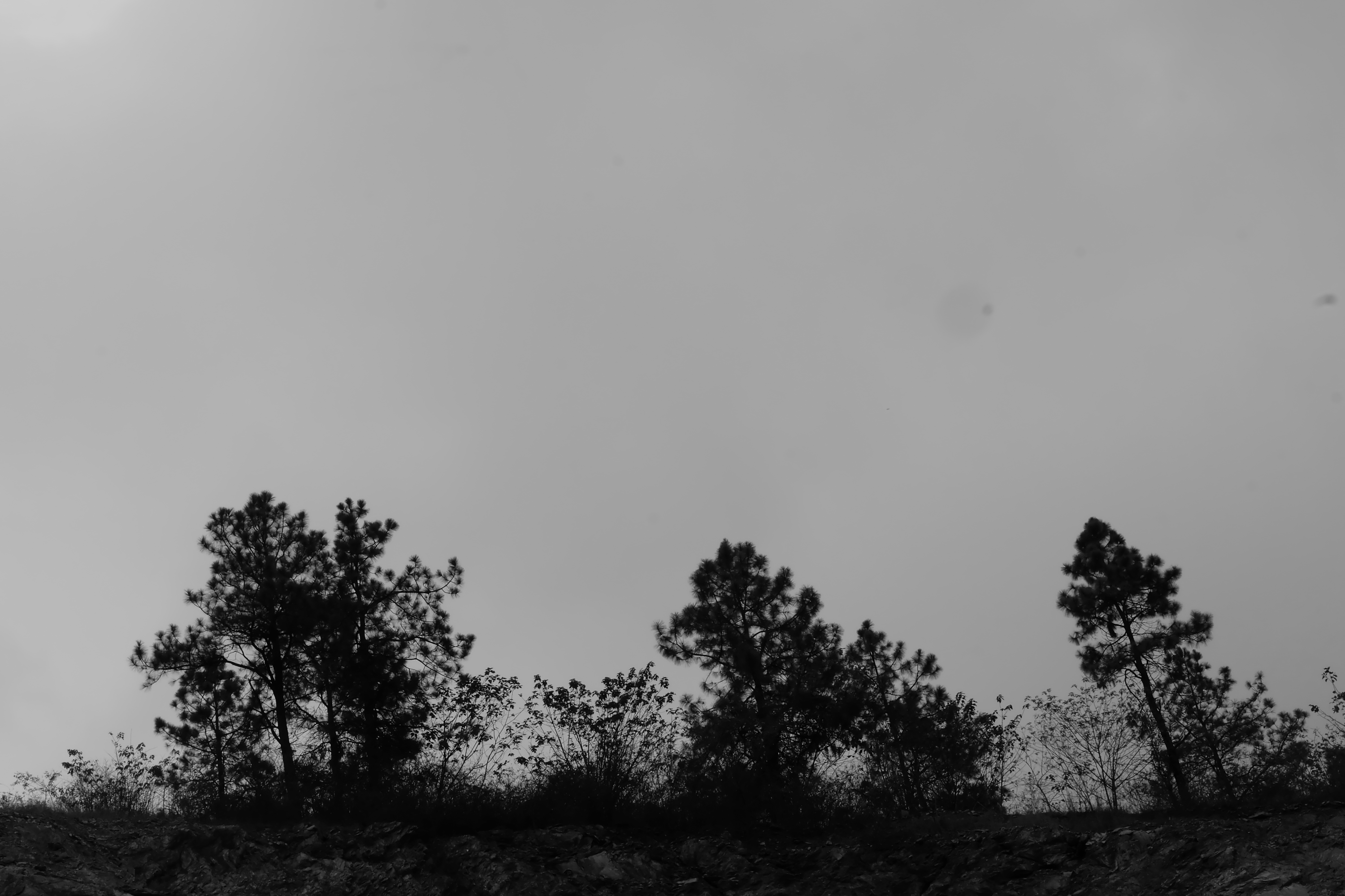 DSCF1492.jpg