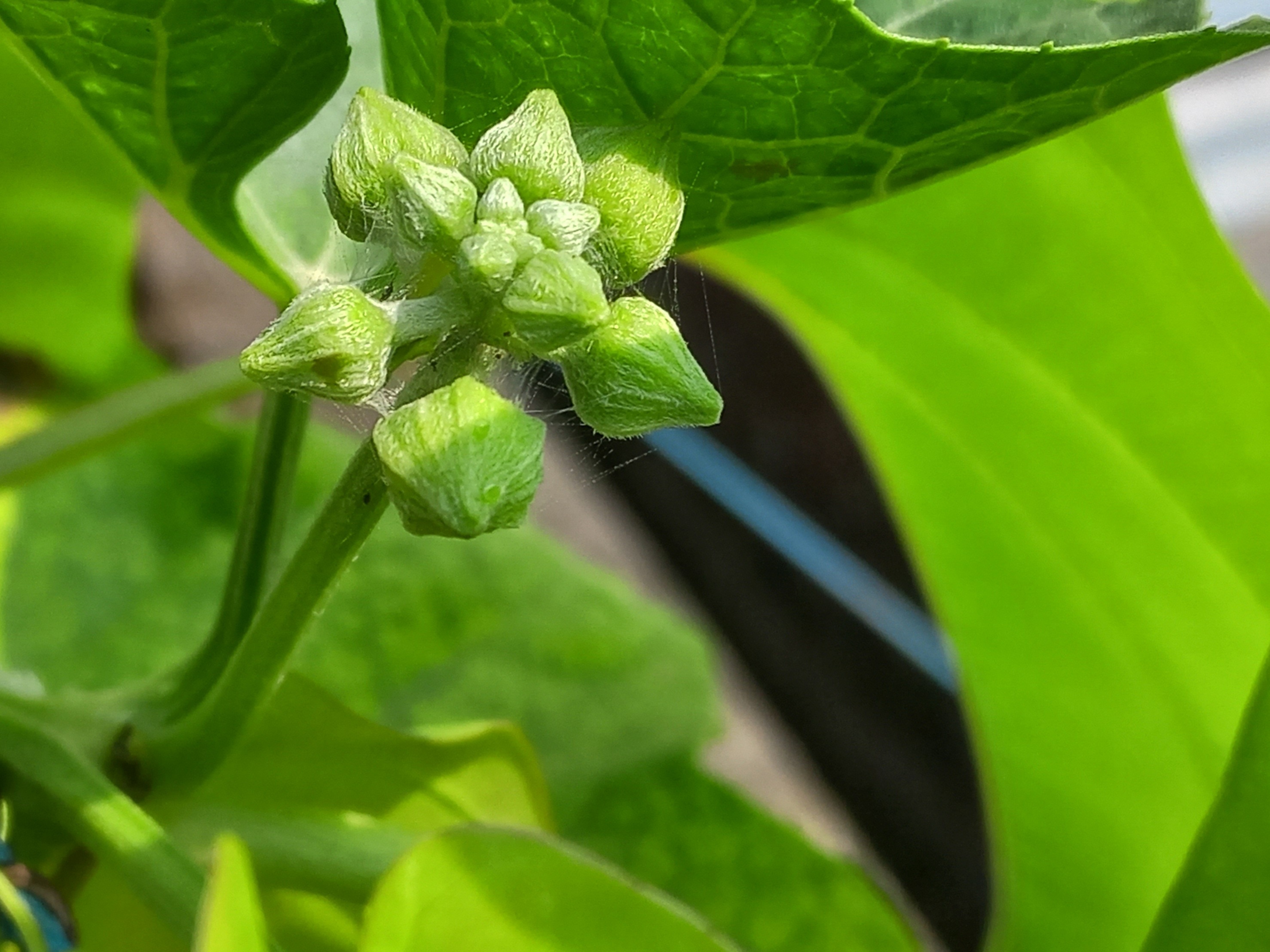 20240329_013645.jpg