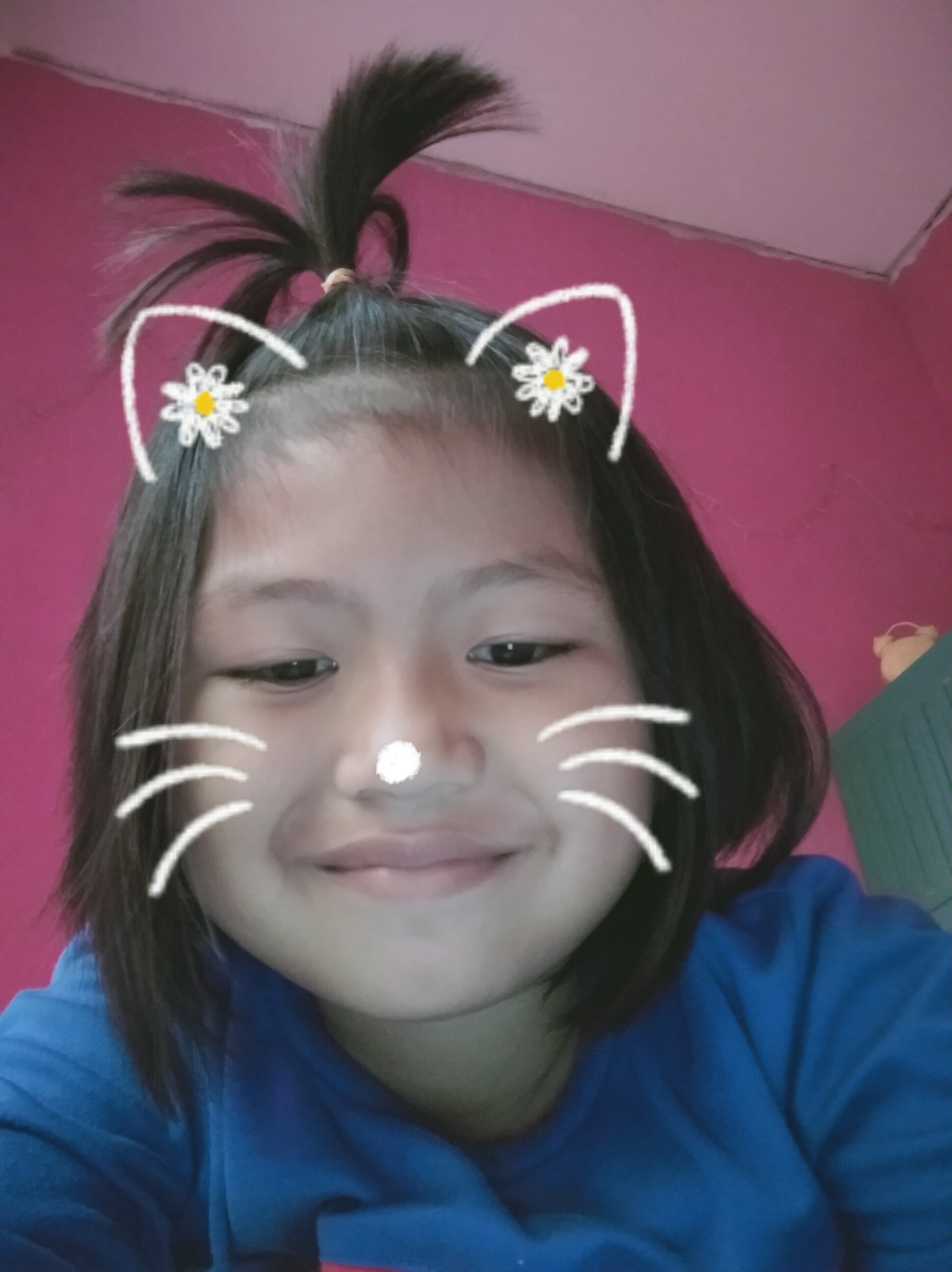 dhamcu